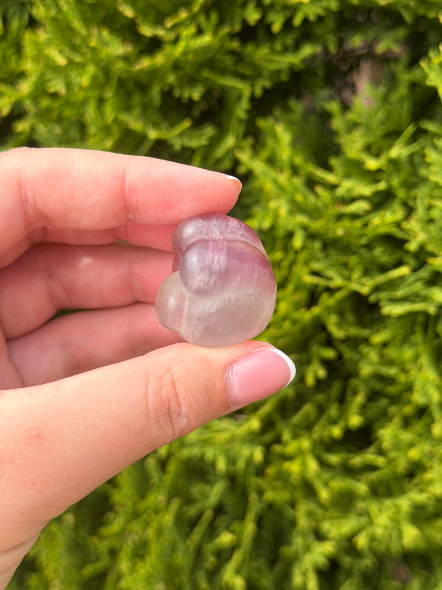 Fluorite Cat Paw 1
