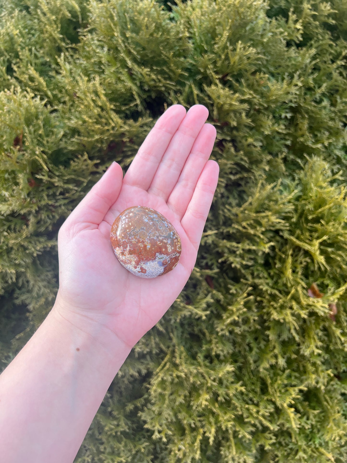 Small Ocean Jasper Palm Stone