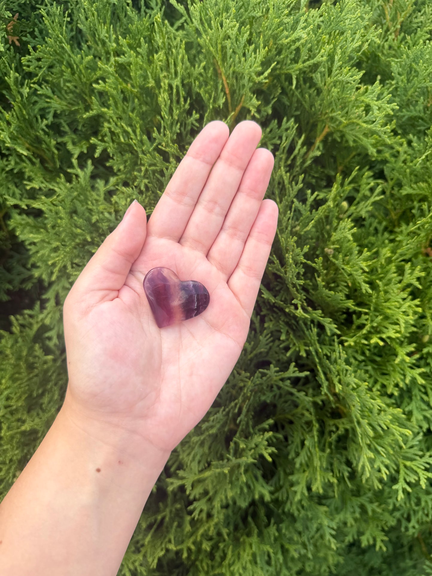 Mini Purple Fluorite Heart with Banding