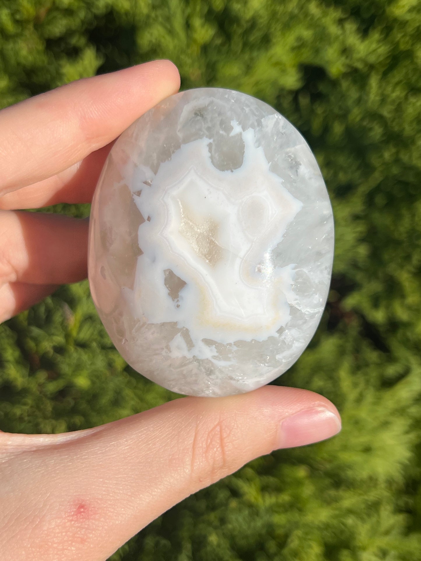Agate Palm Stone
