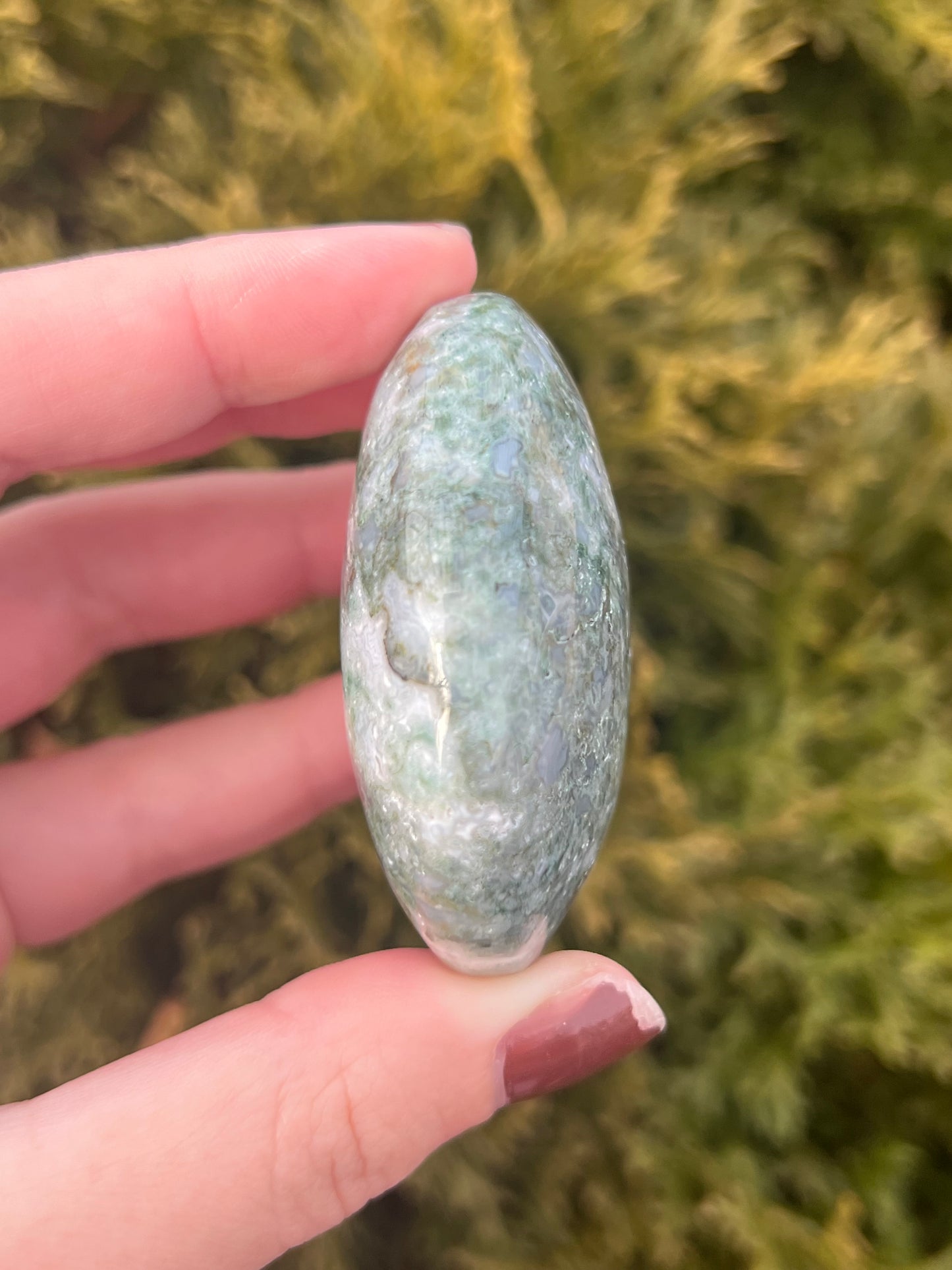 Moss Agate Palm Stone