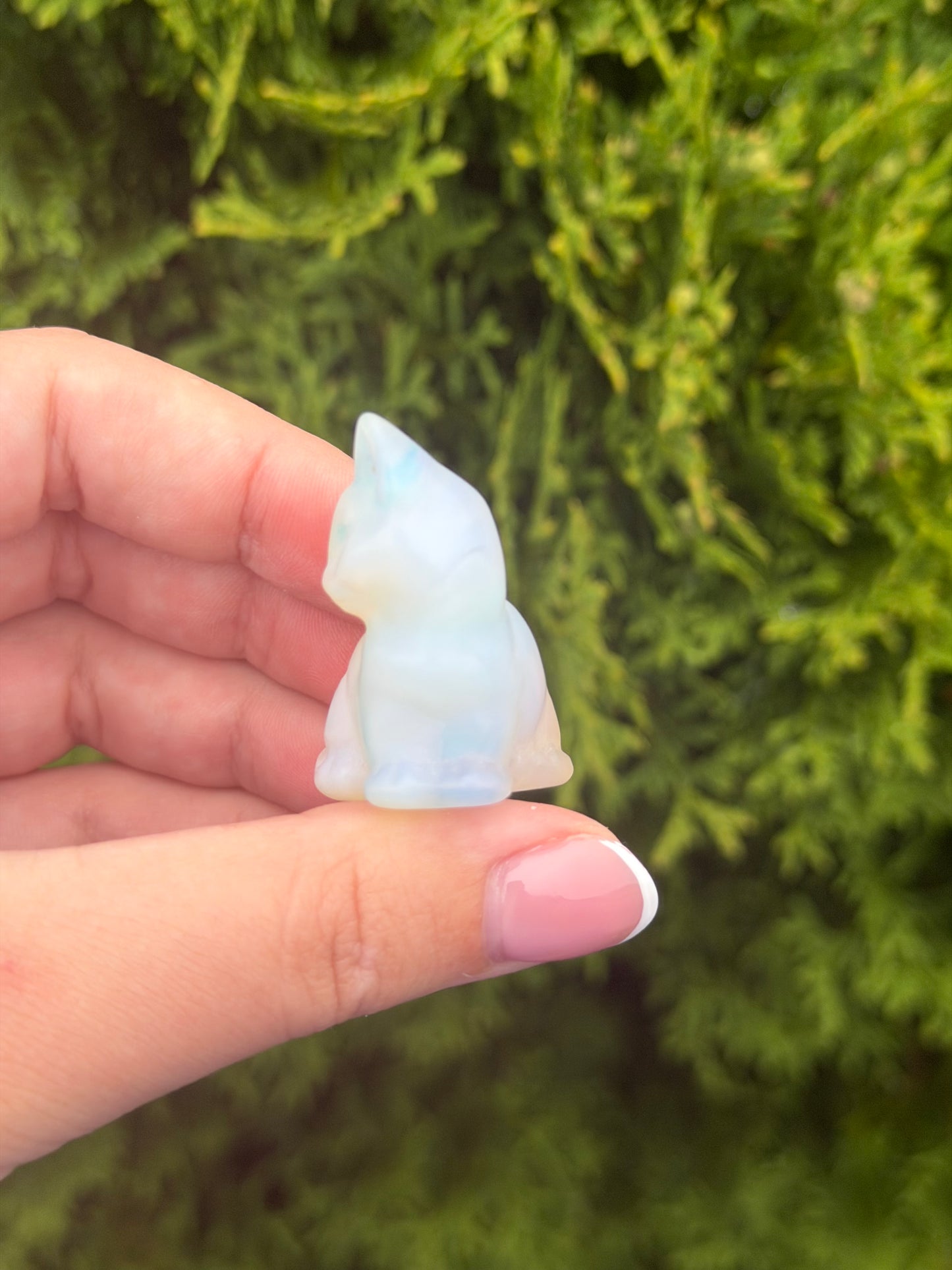 Opalite Cat