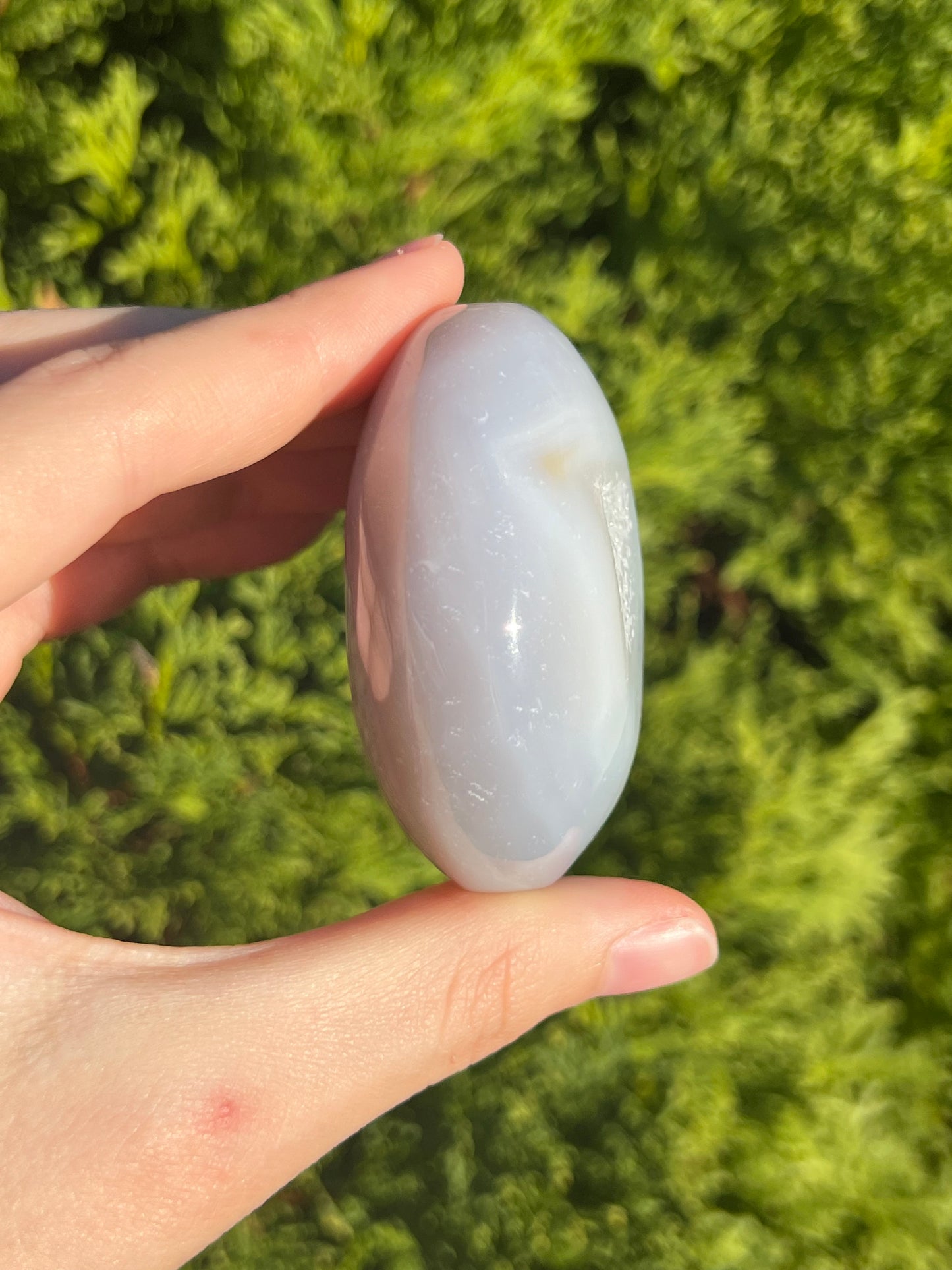 Agate Palm Stone