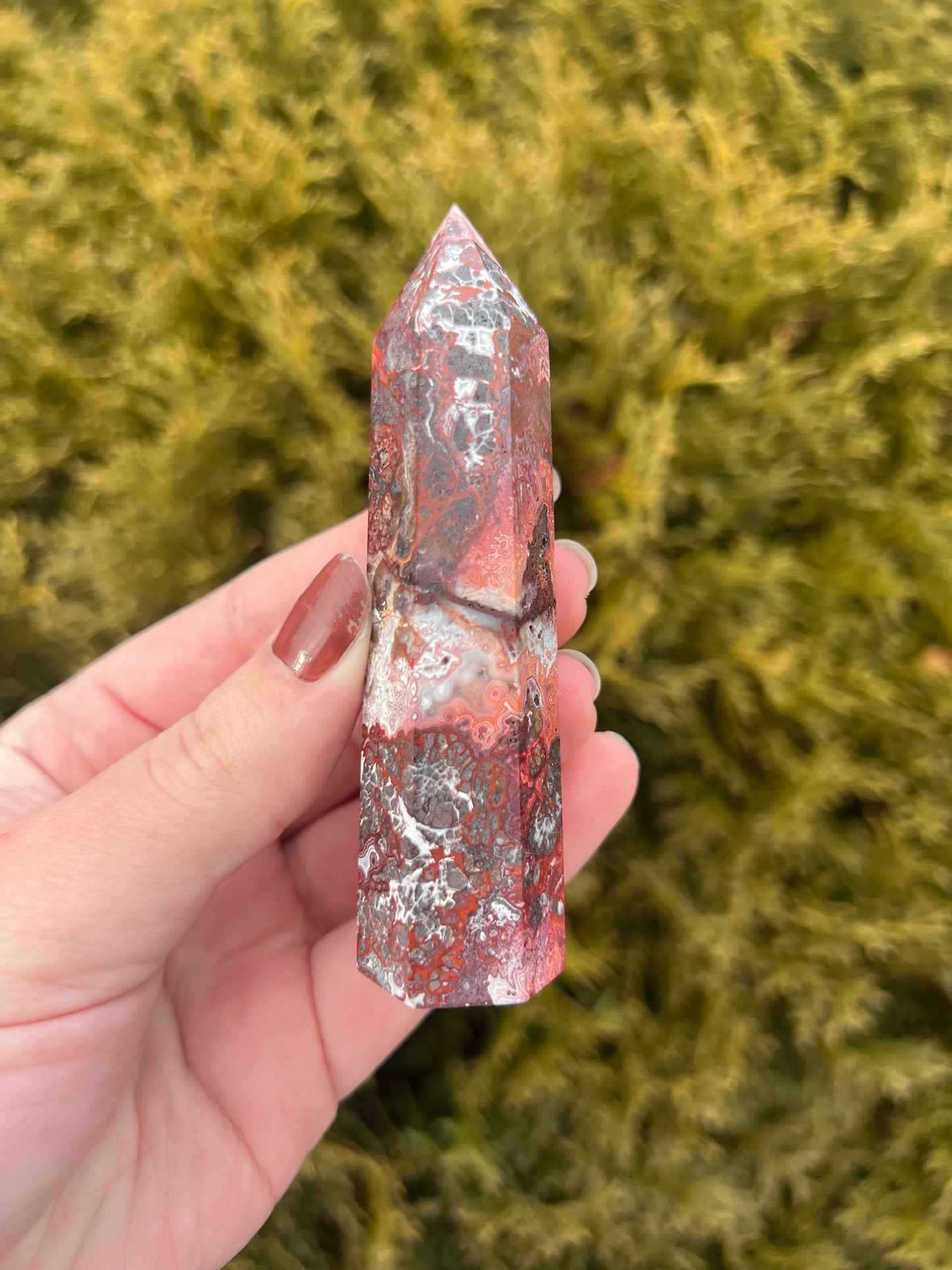 Mexico Lace Agate Point
