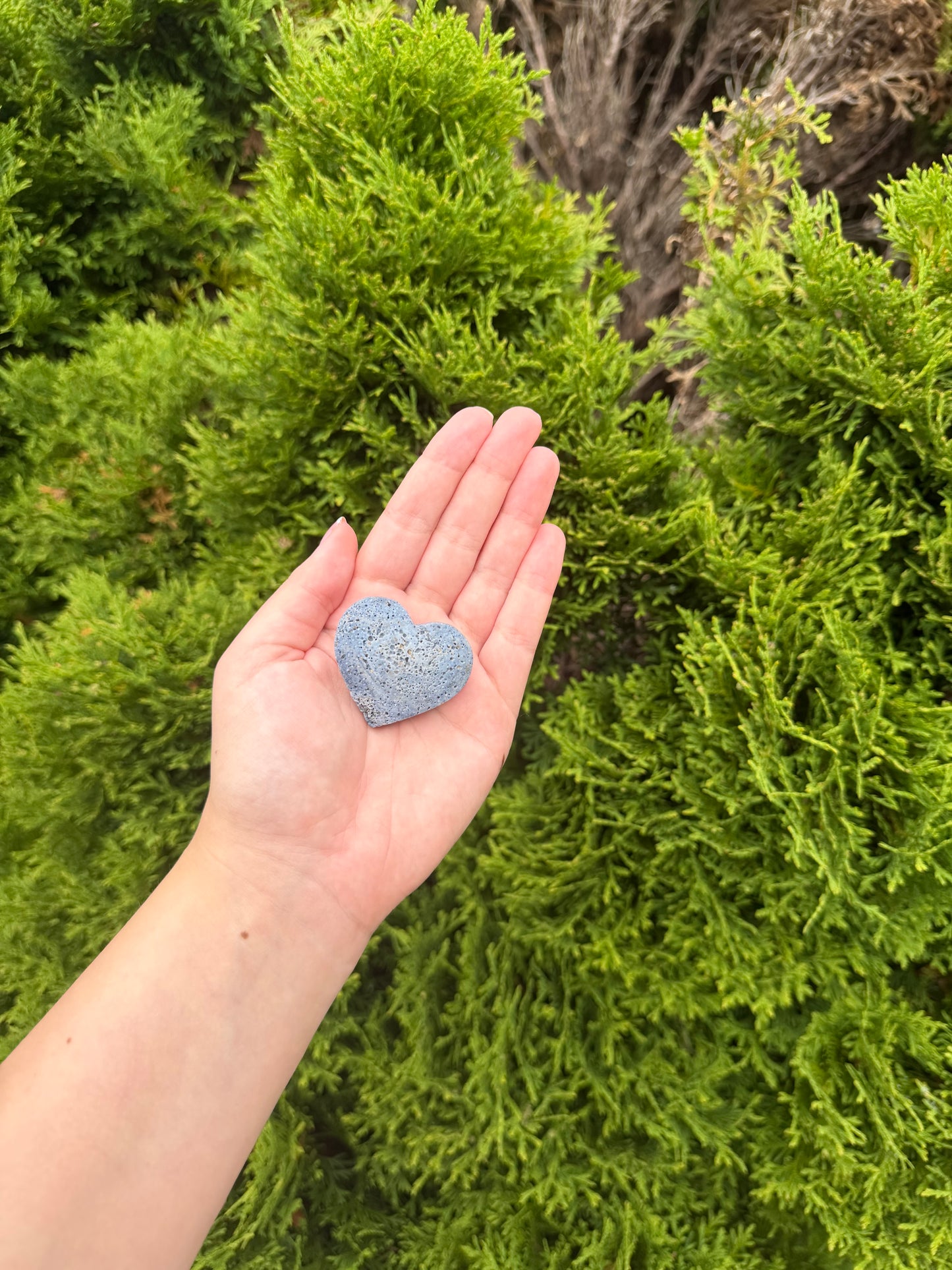 Blue Coral Jasper Heart