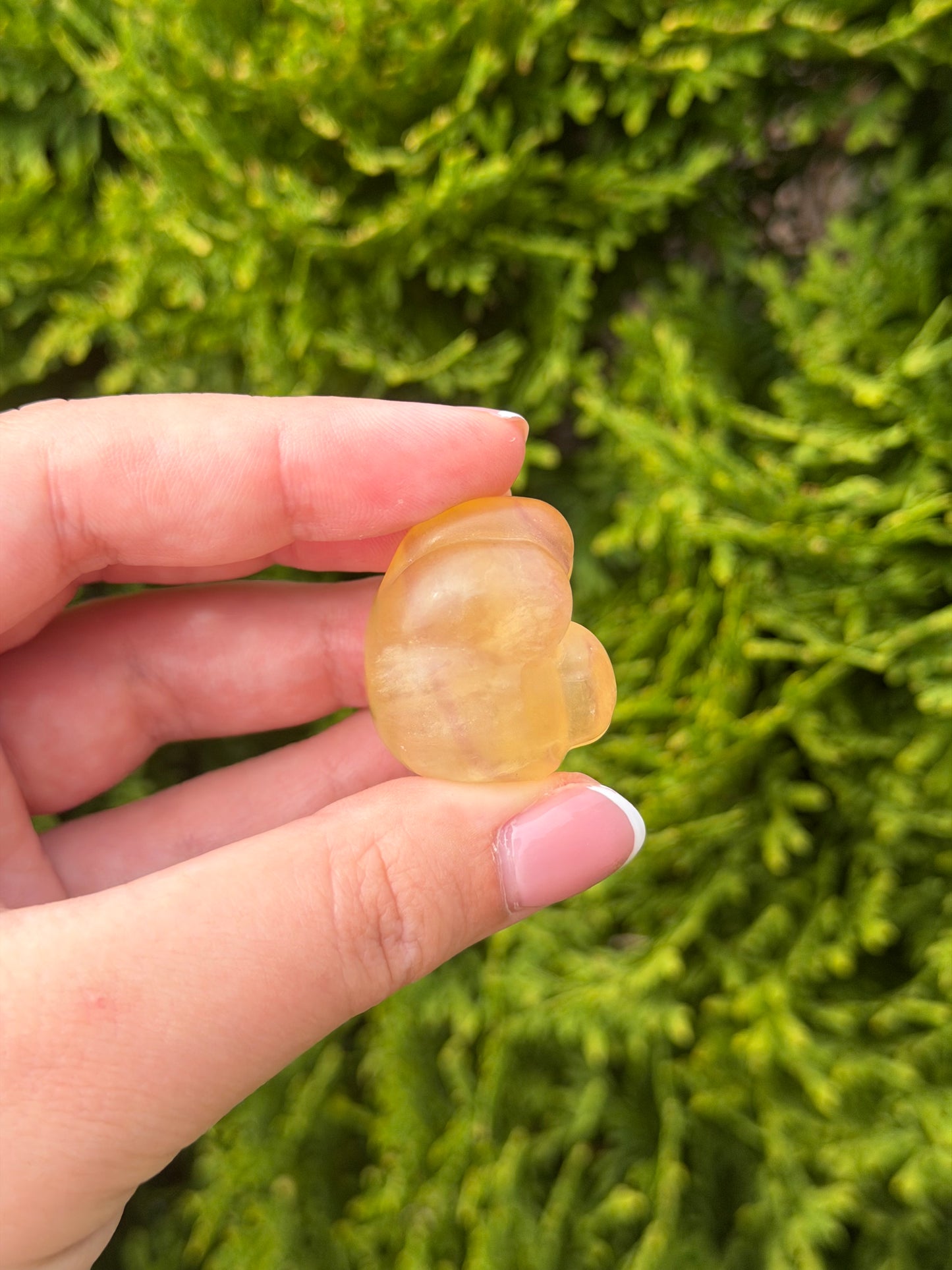 Yellow Fluorite Cat Paw 3