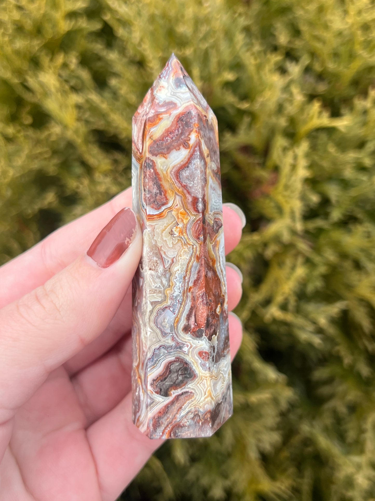 Mexico Lace Agate Point