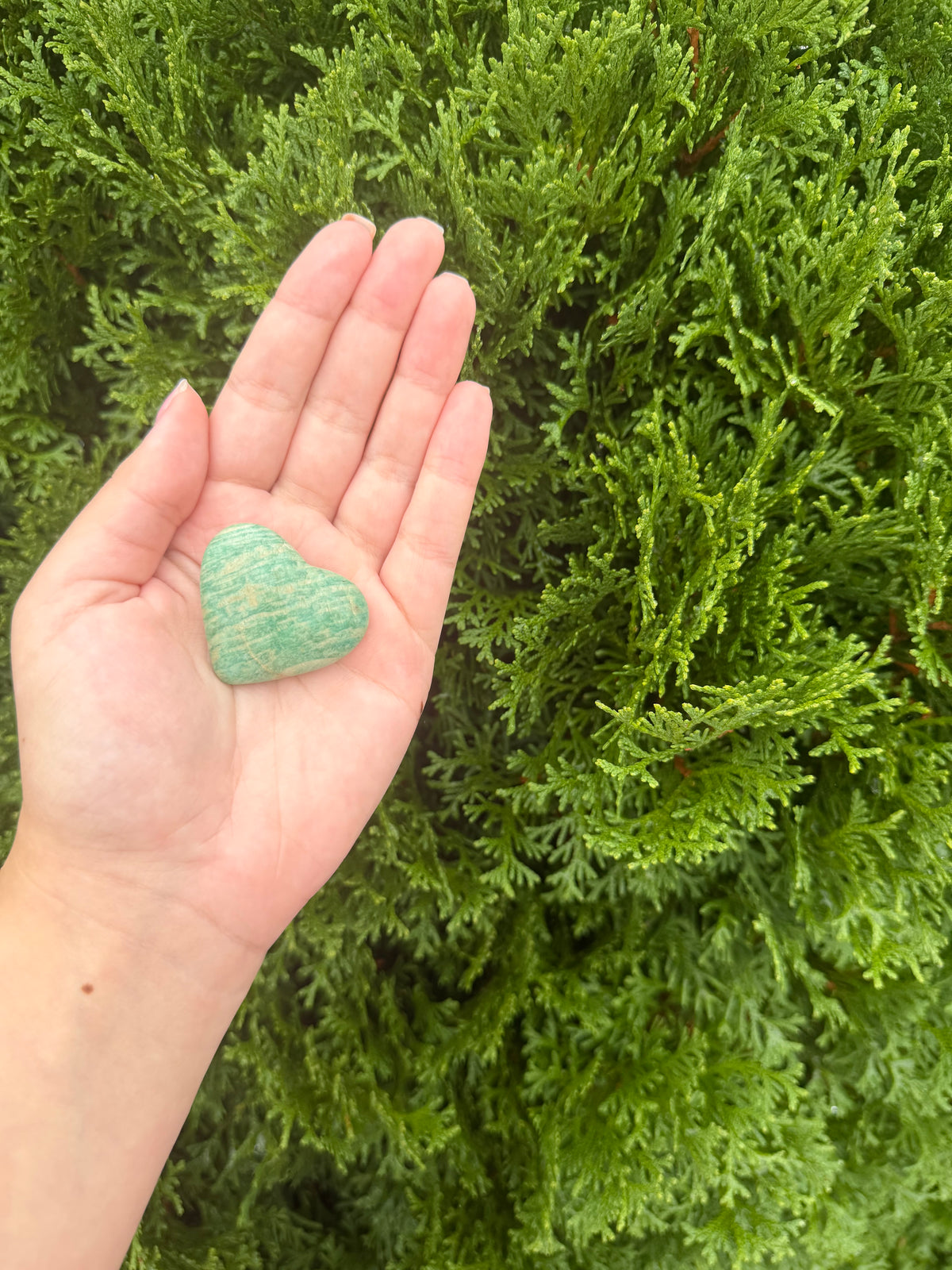 Trulite Mini Heart on Stand
