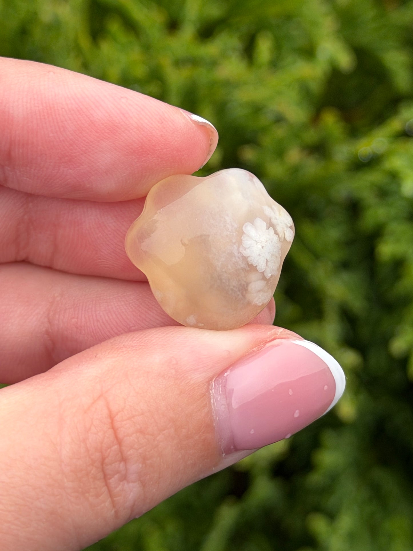 Flower Agate Cat Paw