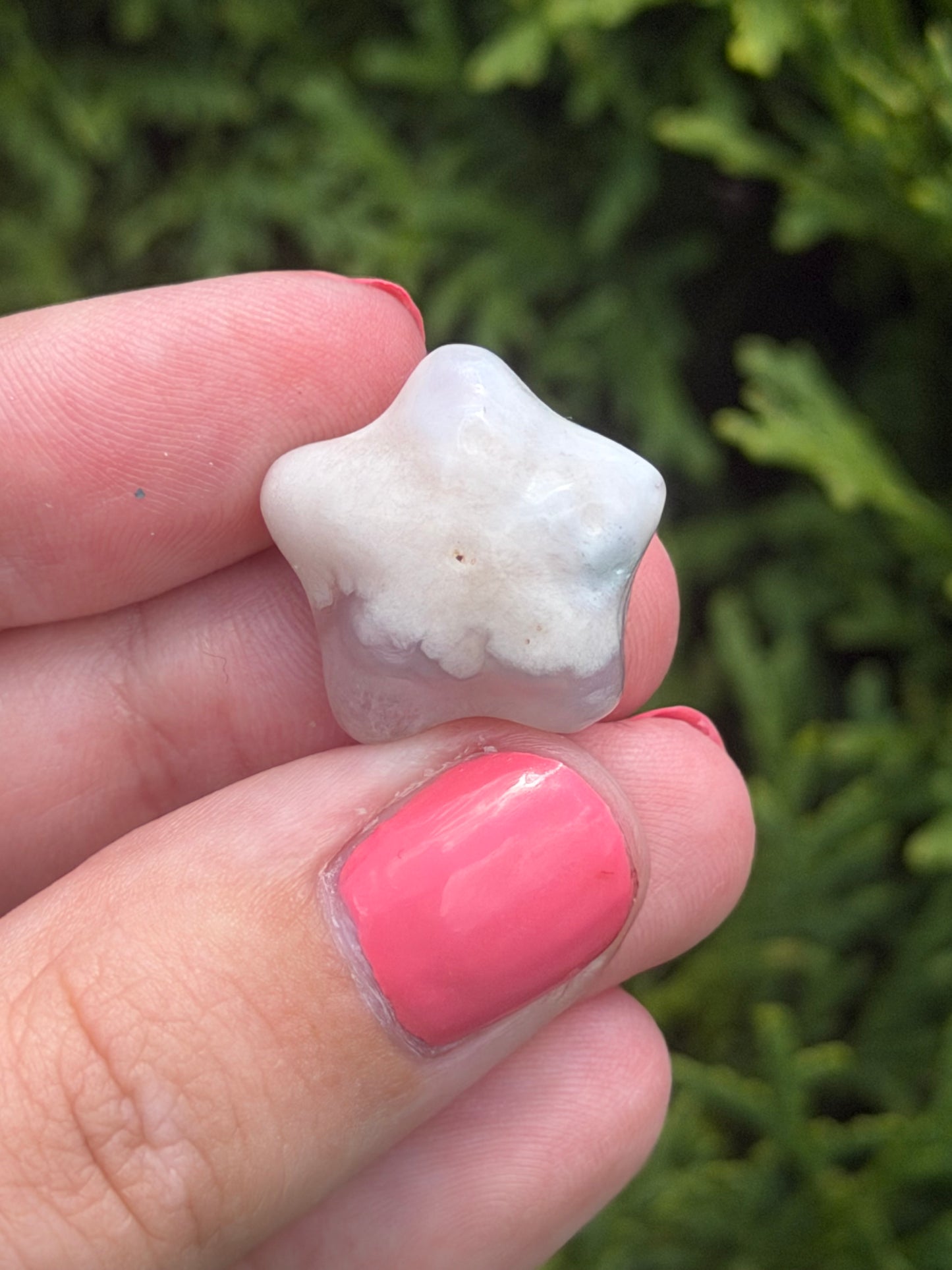 Mini Flower Agate Star