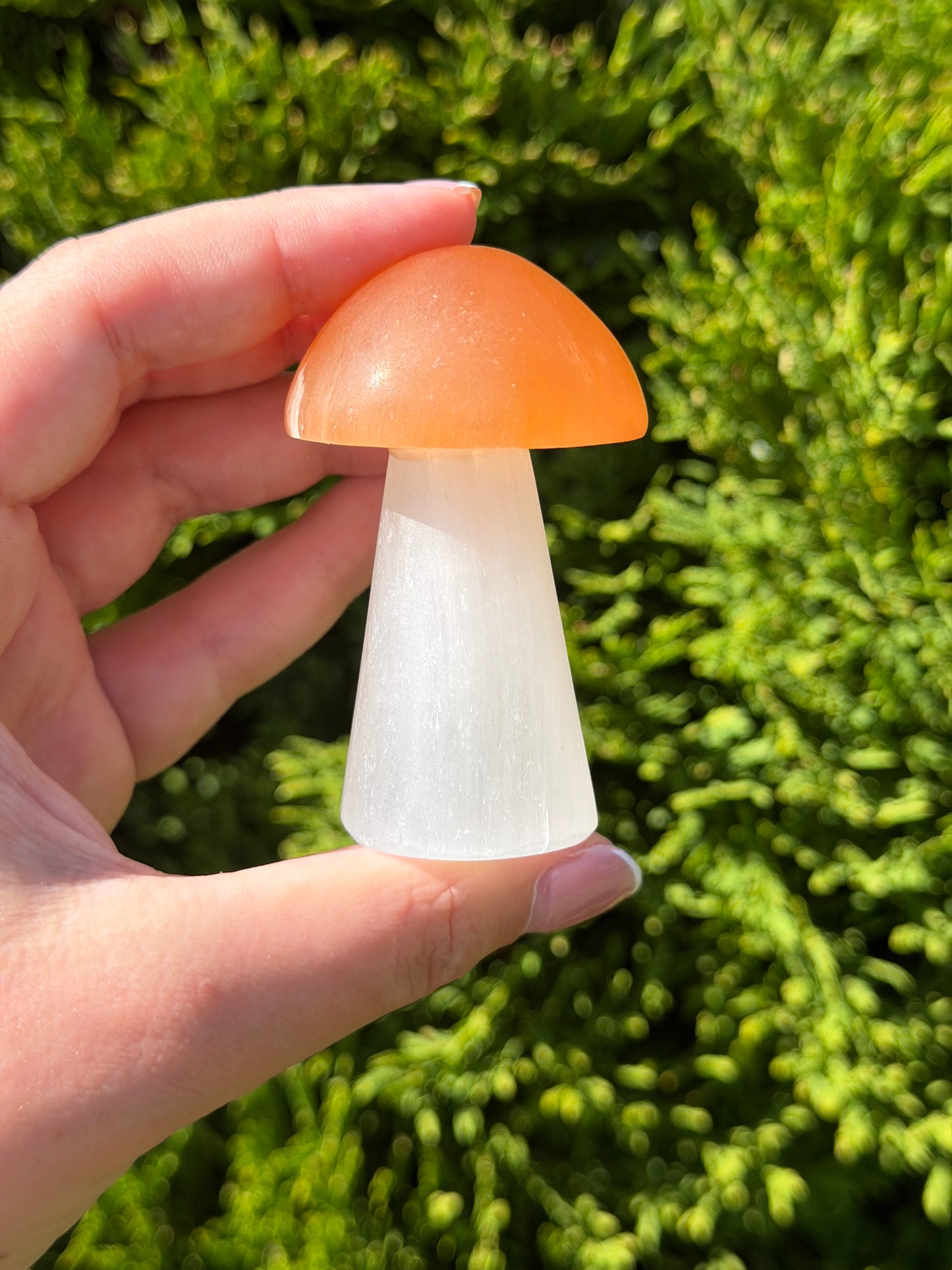 Large Selenite Mushroom