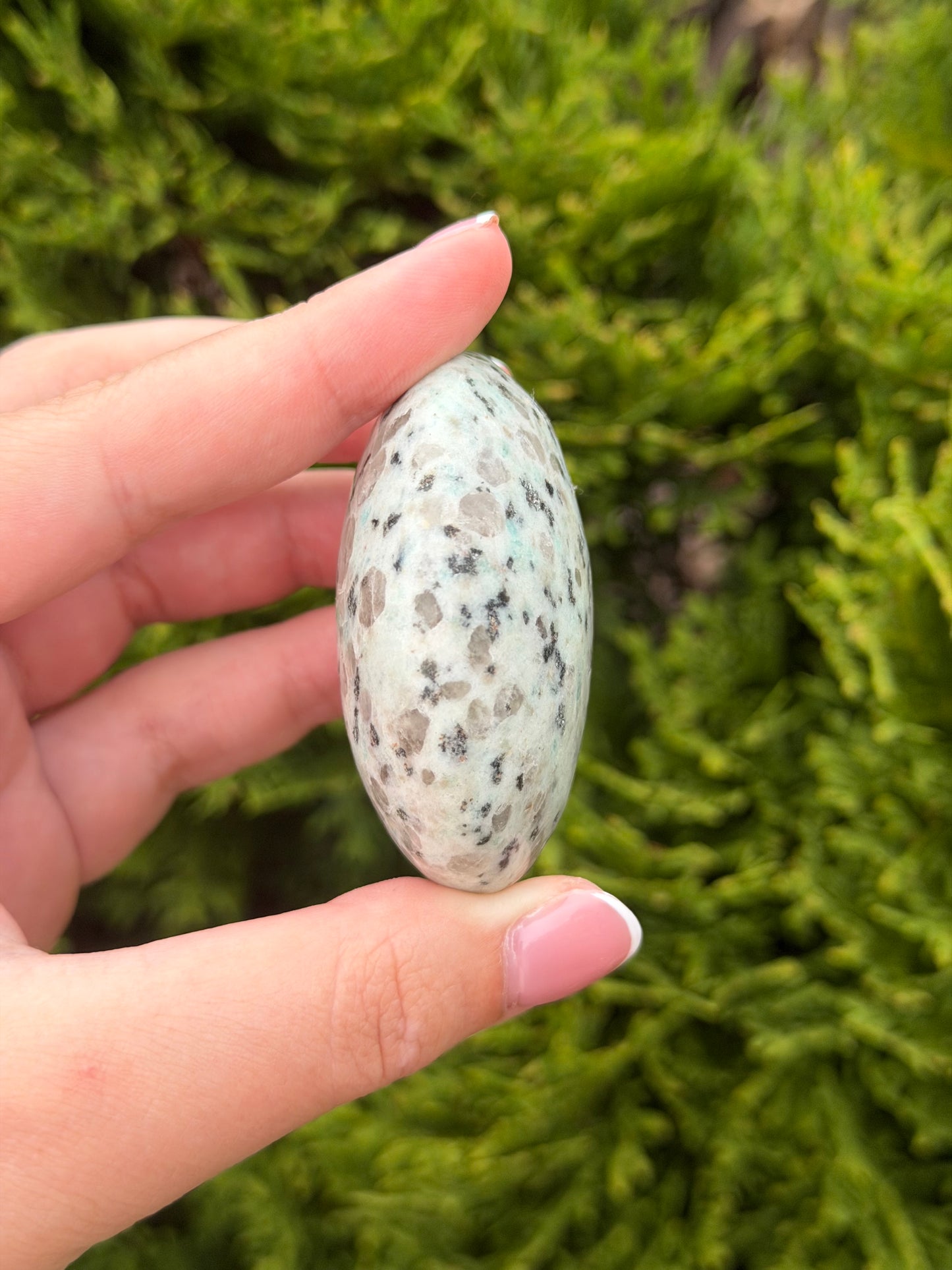 Kiwi Jasper Palm Stone