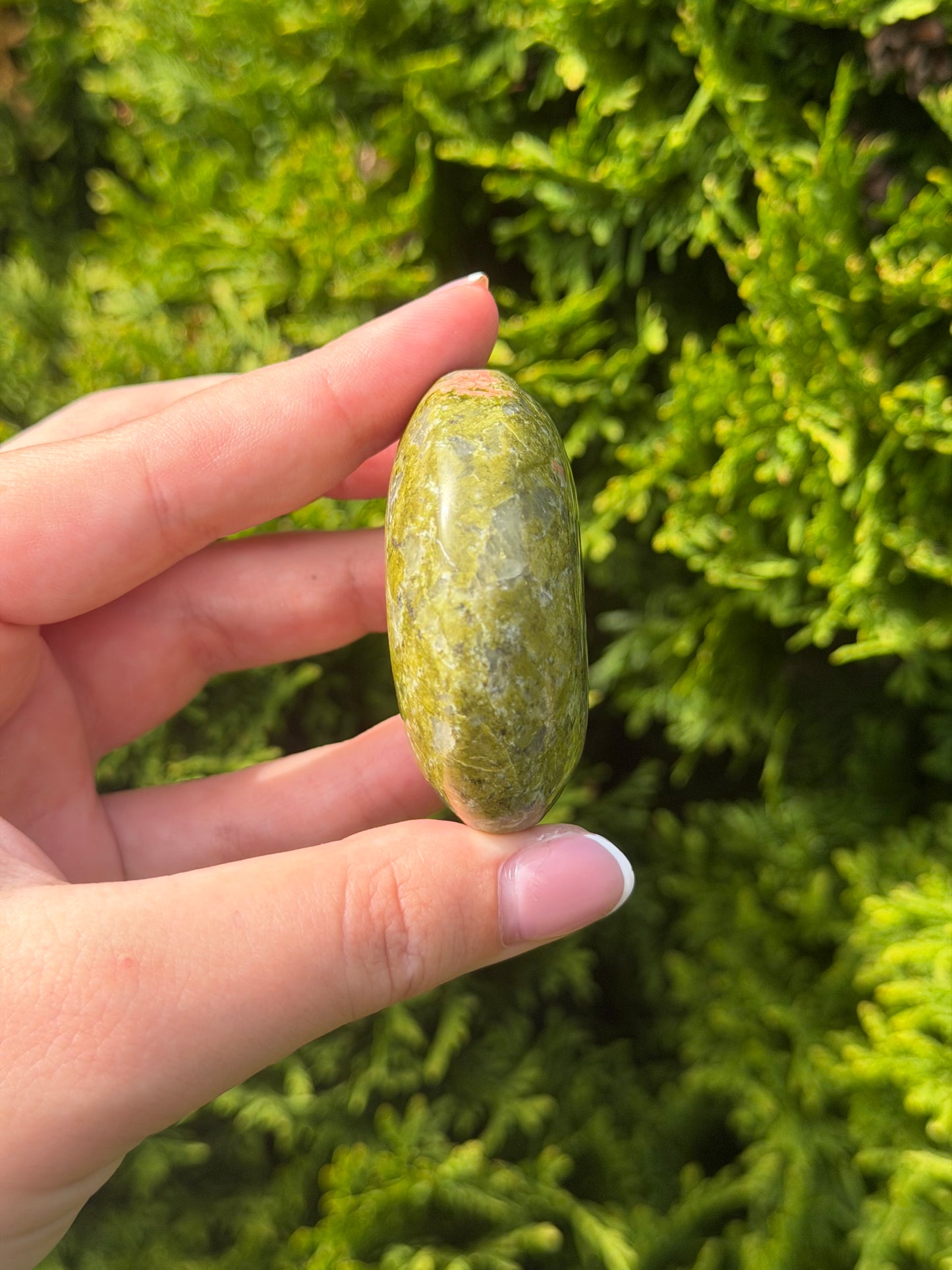 Unakite Palm Stone