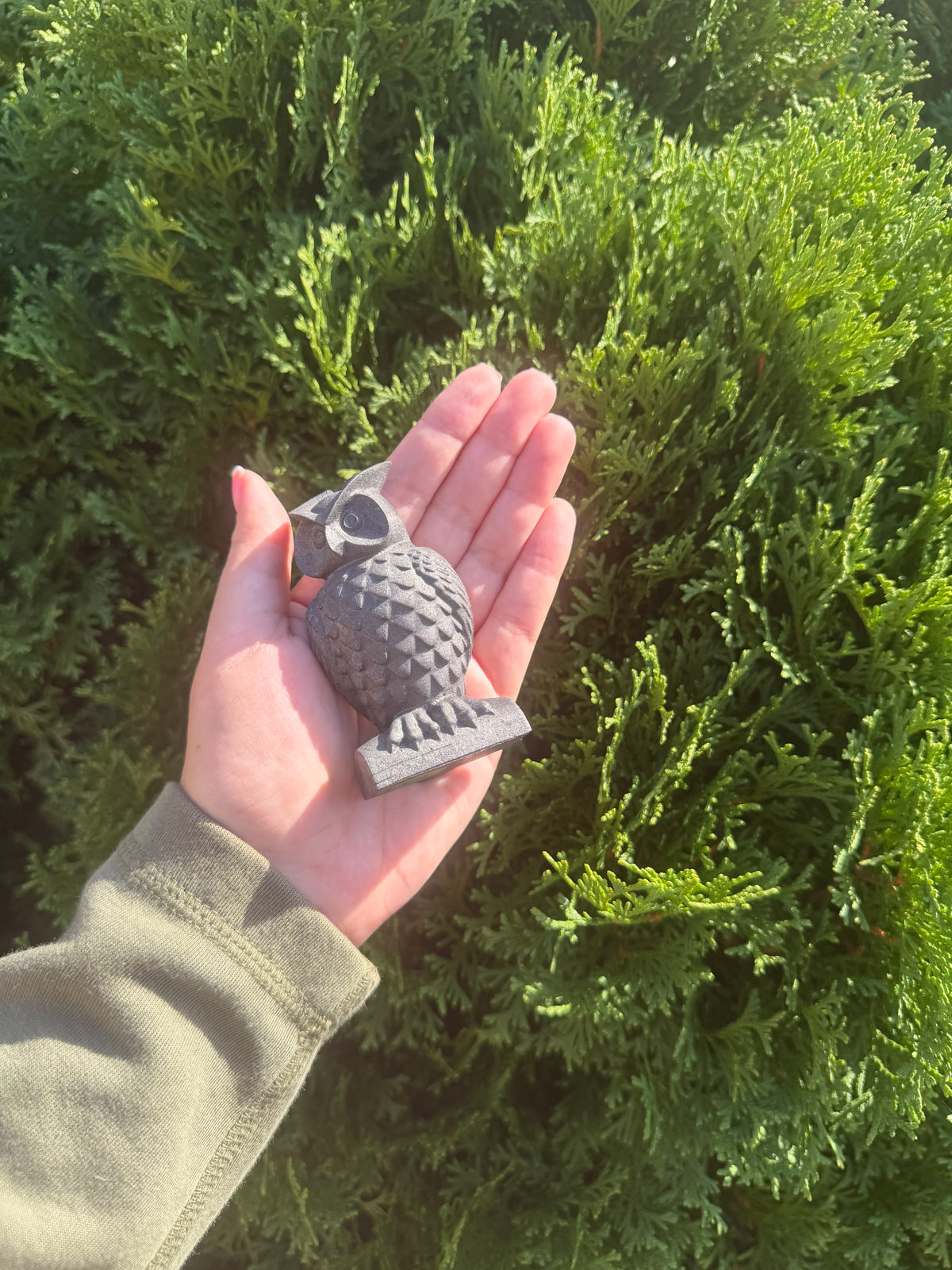 Shungite Owl