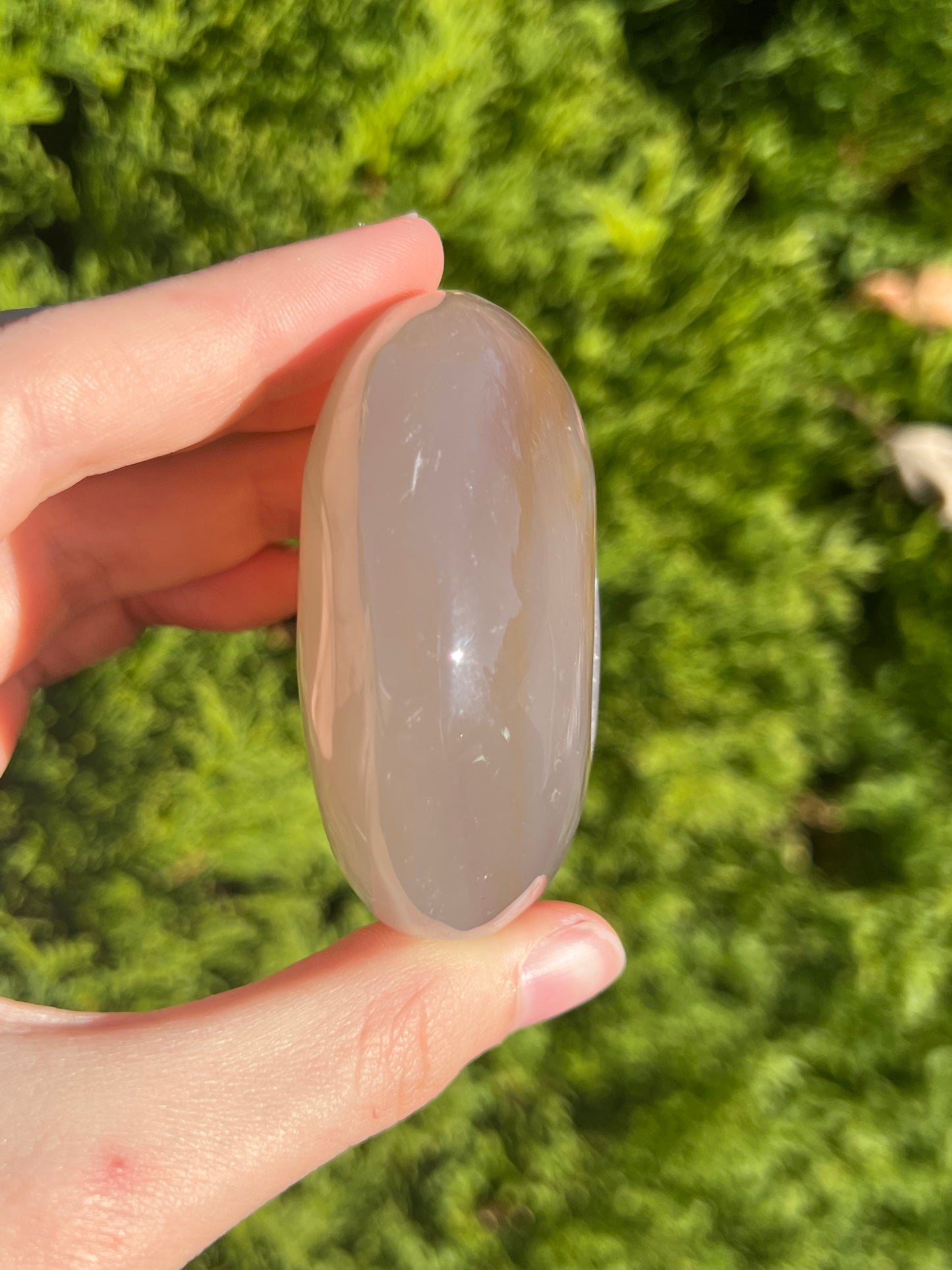Agate Palm Stone