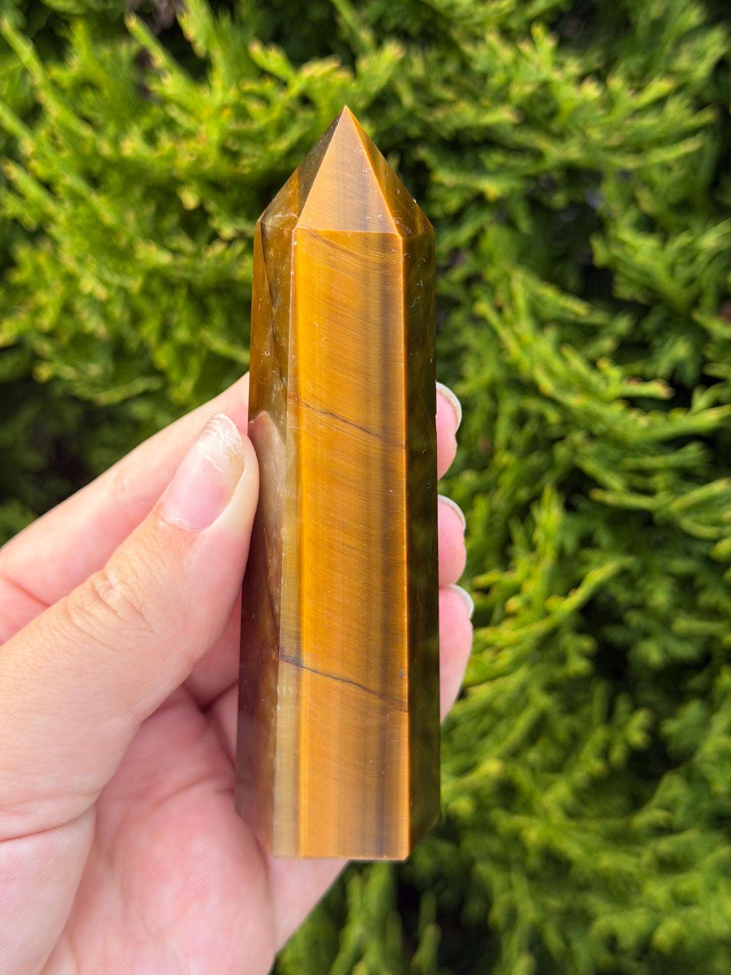 Tiger’s Eye Point 3