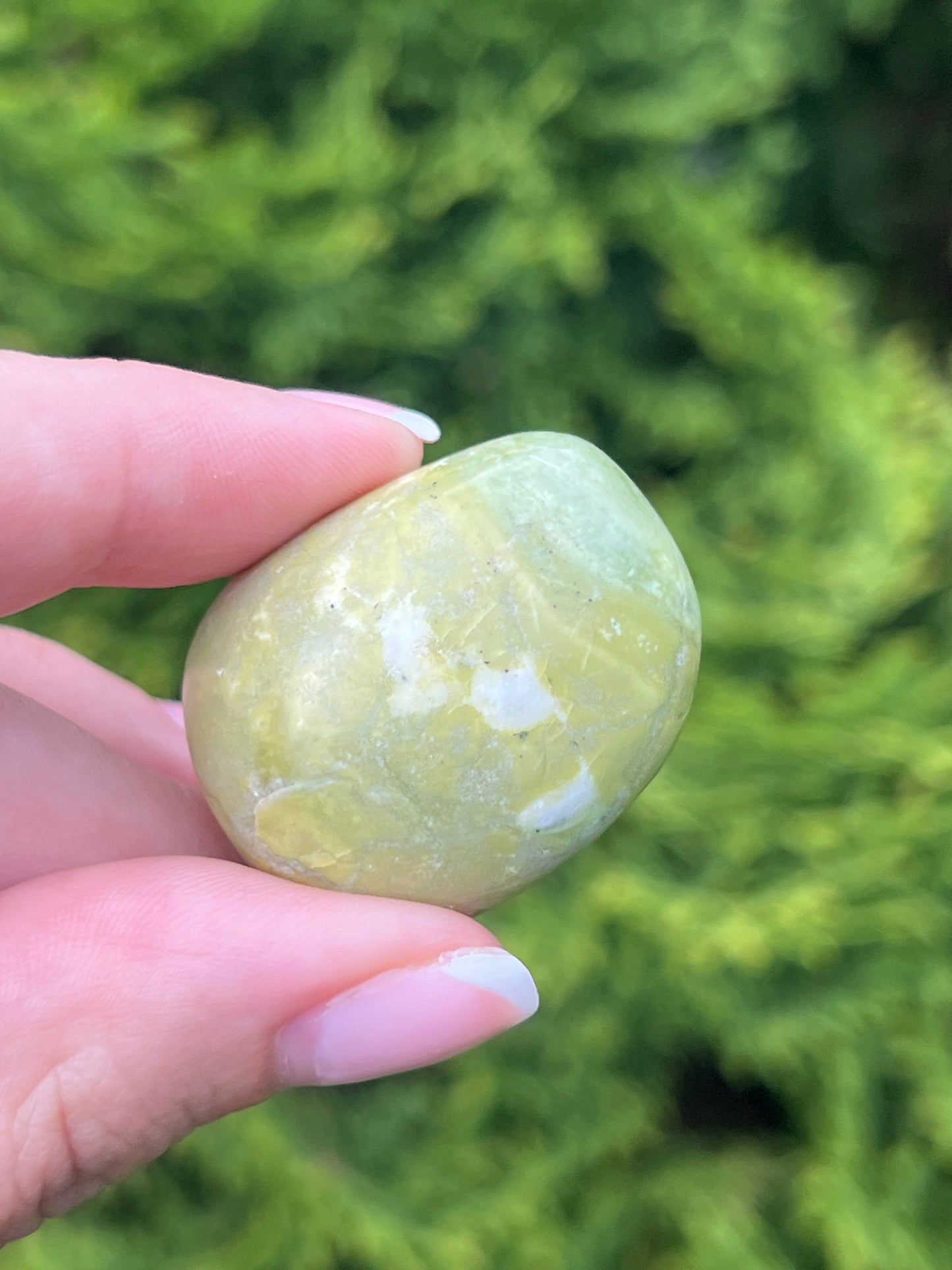 Serpentine Jasper Tumbled Stones