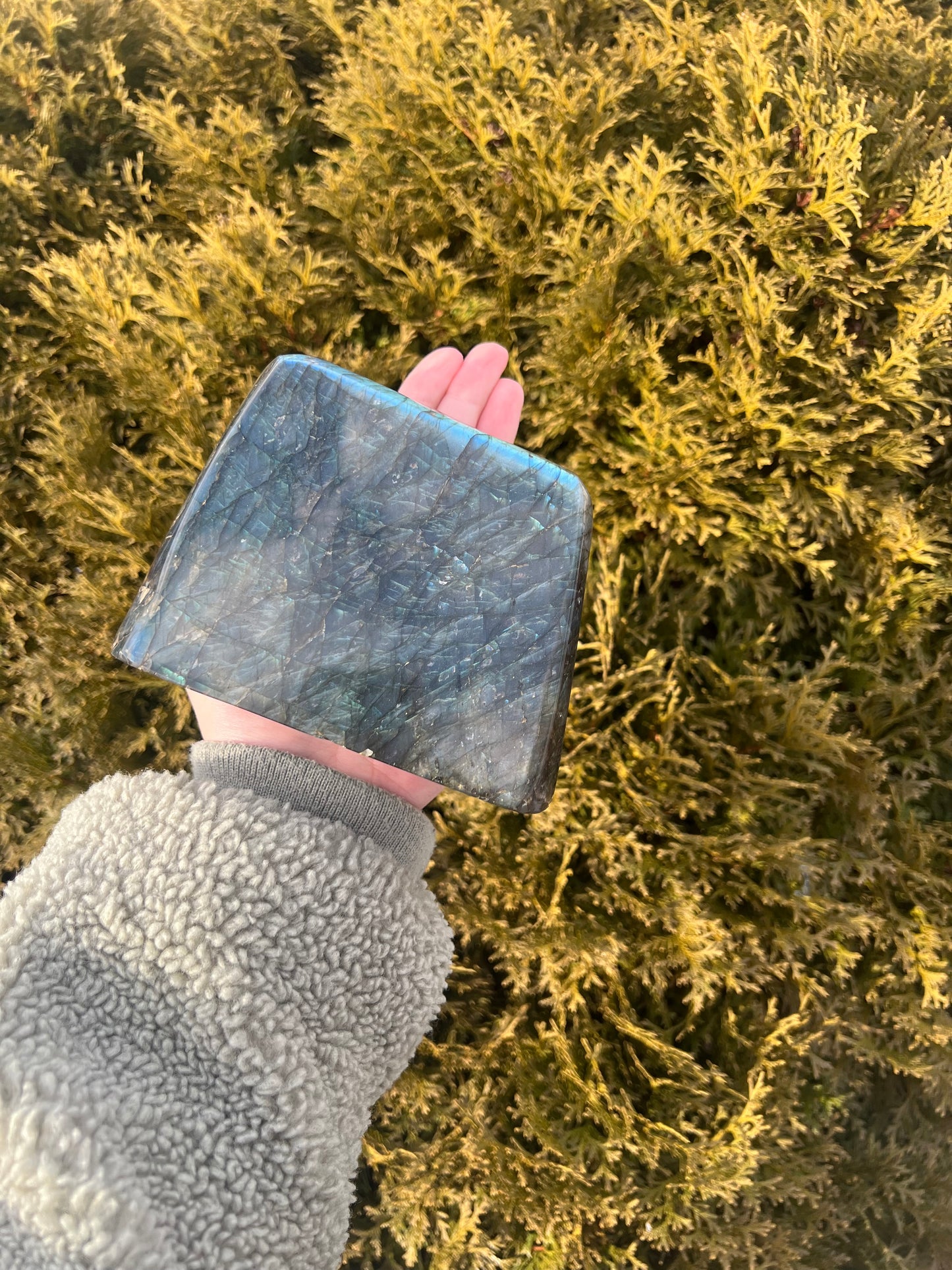 Large Labradorite Freeform