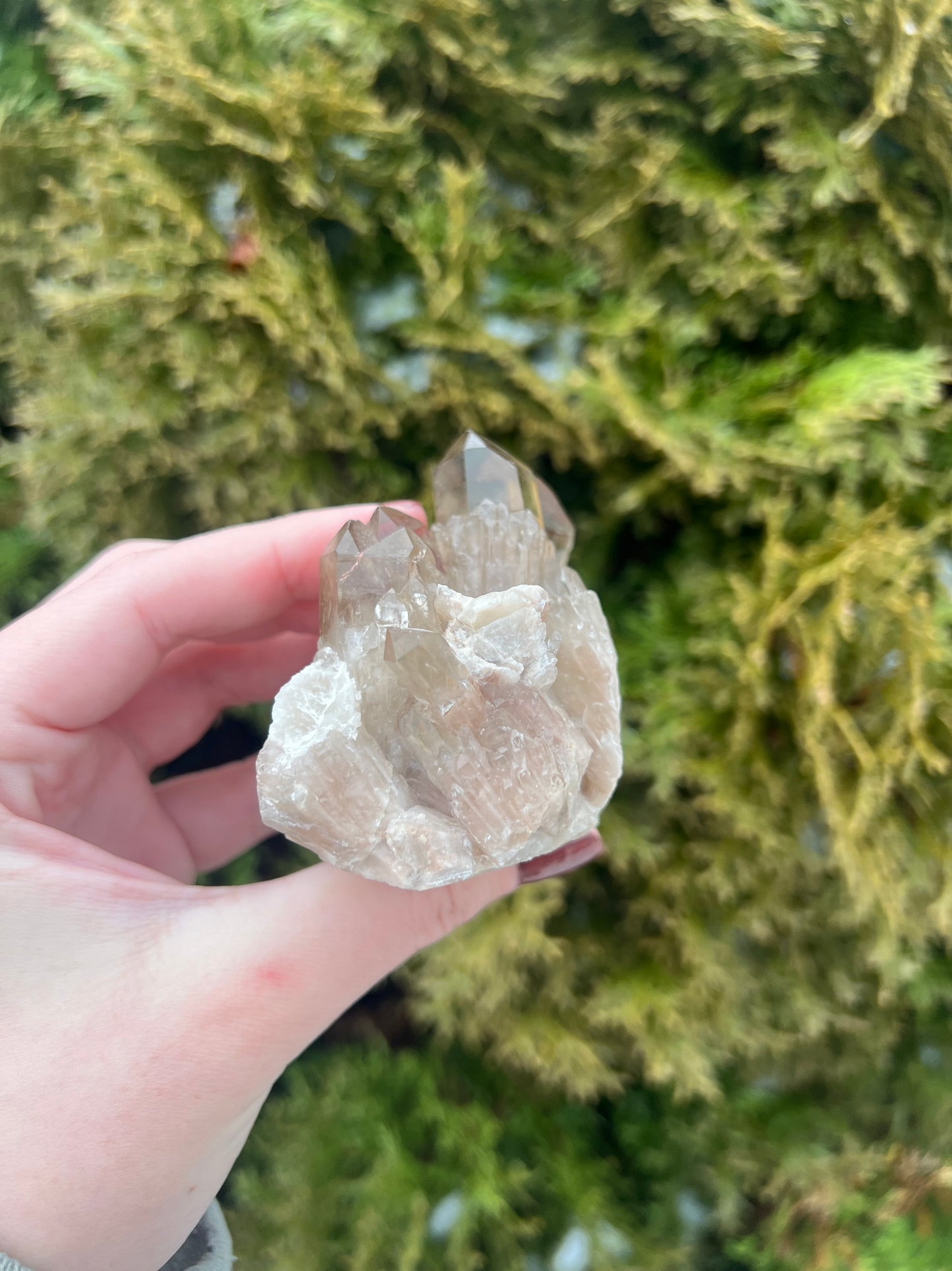 Kundalini Citrine Cluster