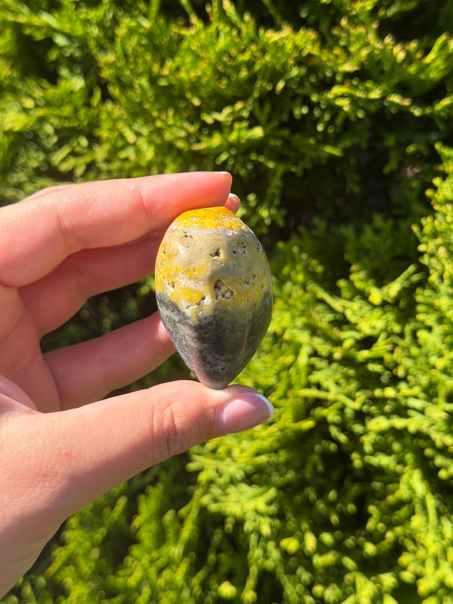 Bumblebee Jasper Heart