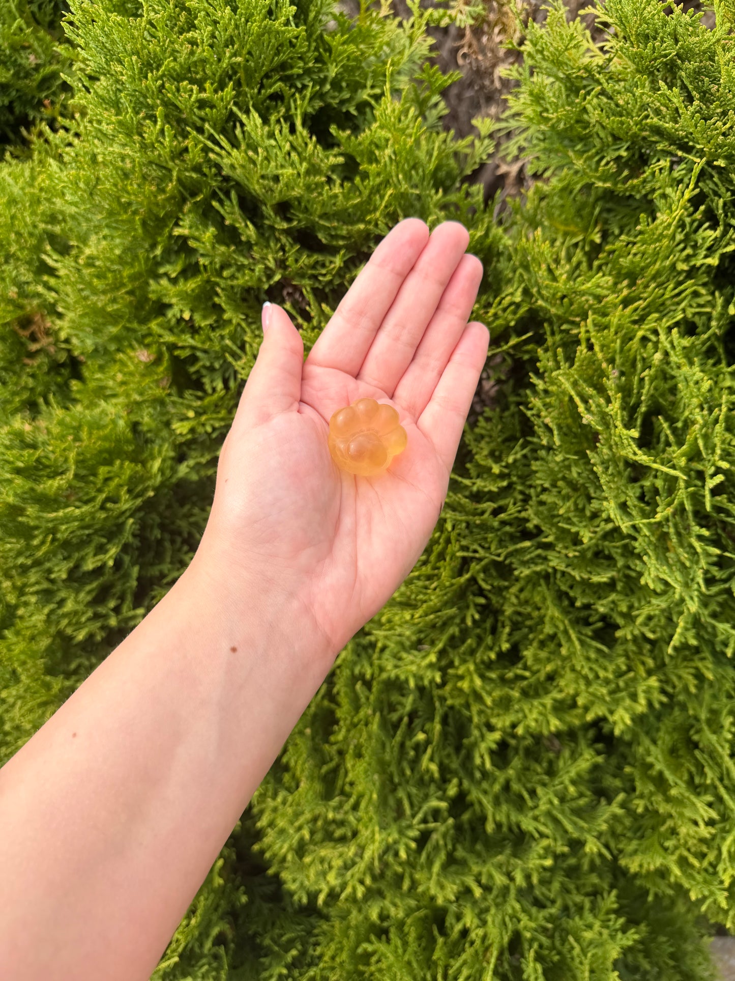 Yellow Fluorite Cat Paw 3
