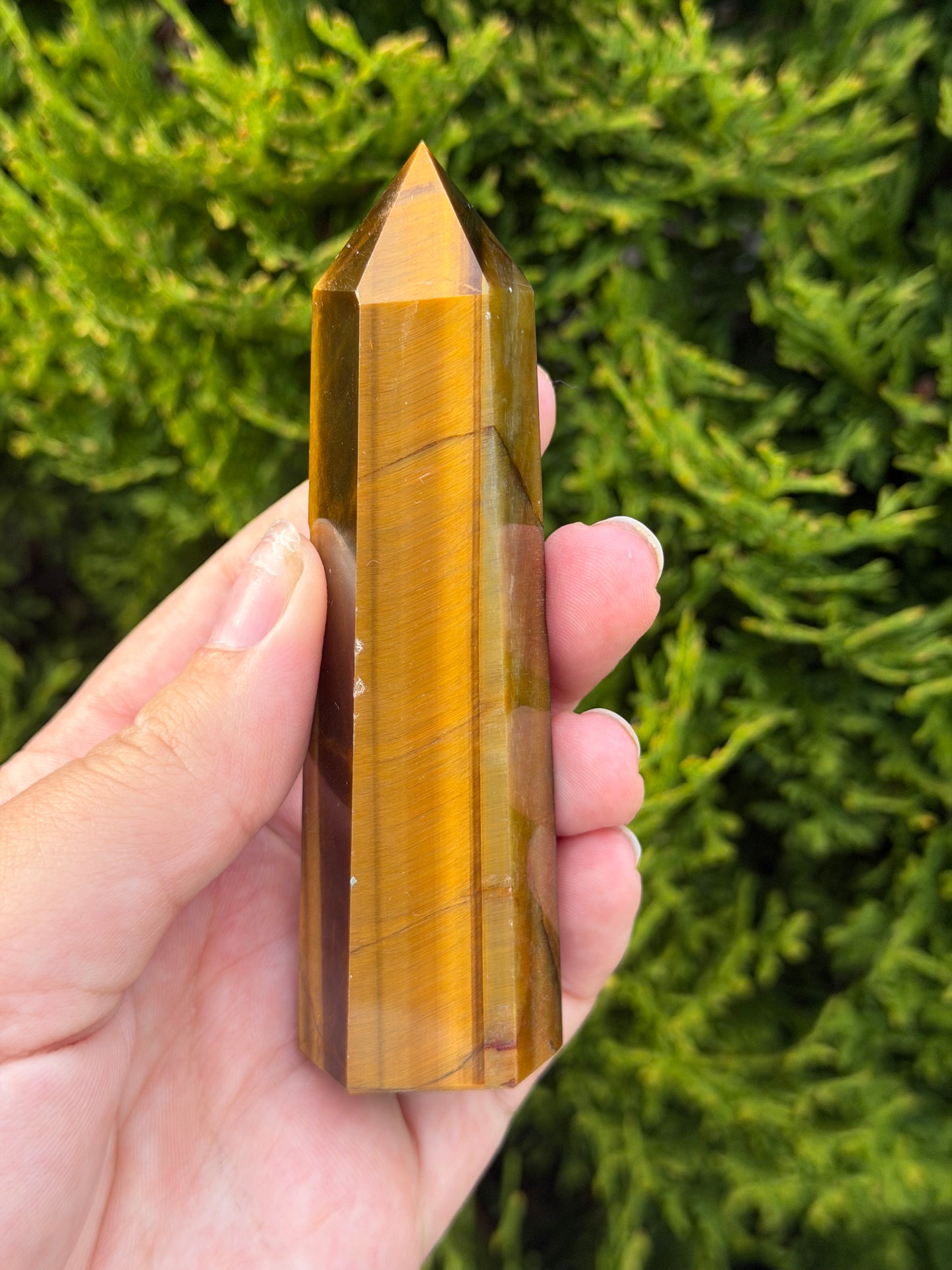 Tiger’s Eye Point 3