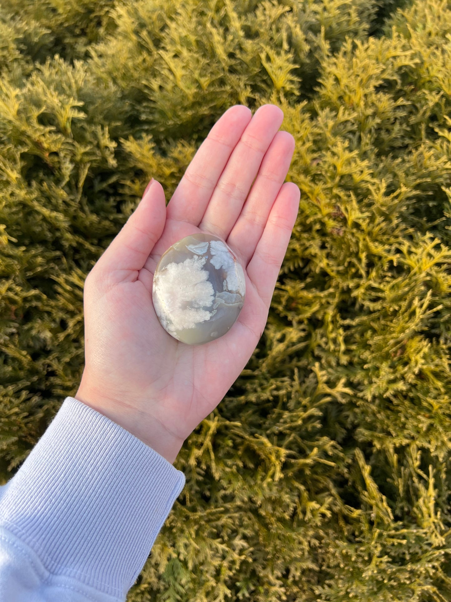 Flower Agate Palm Stone