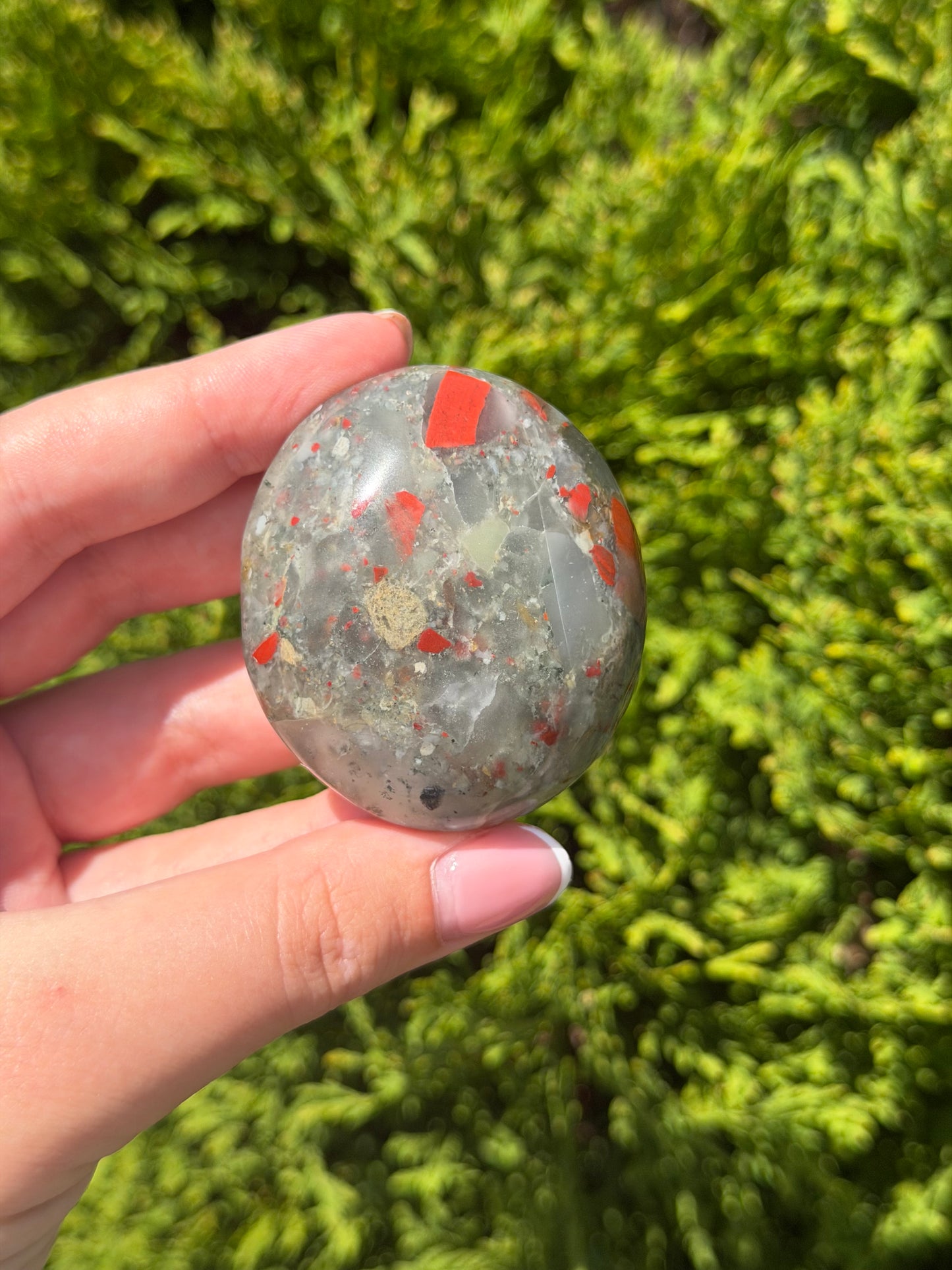 African Bloodstone Palm Stone 1
