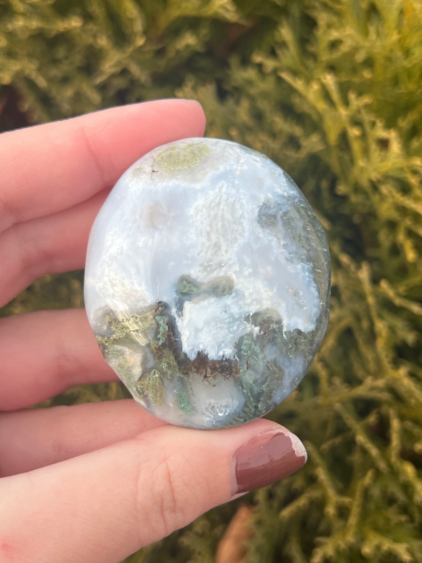 Moss Agate Palm Stone