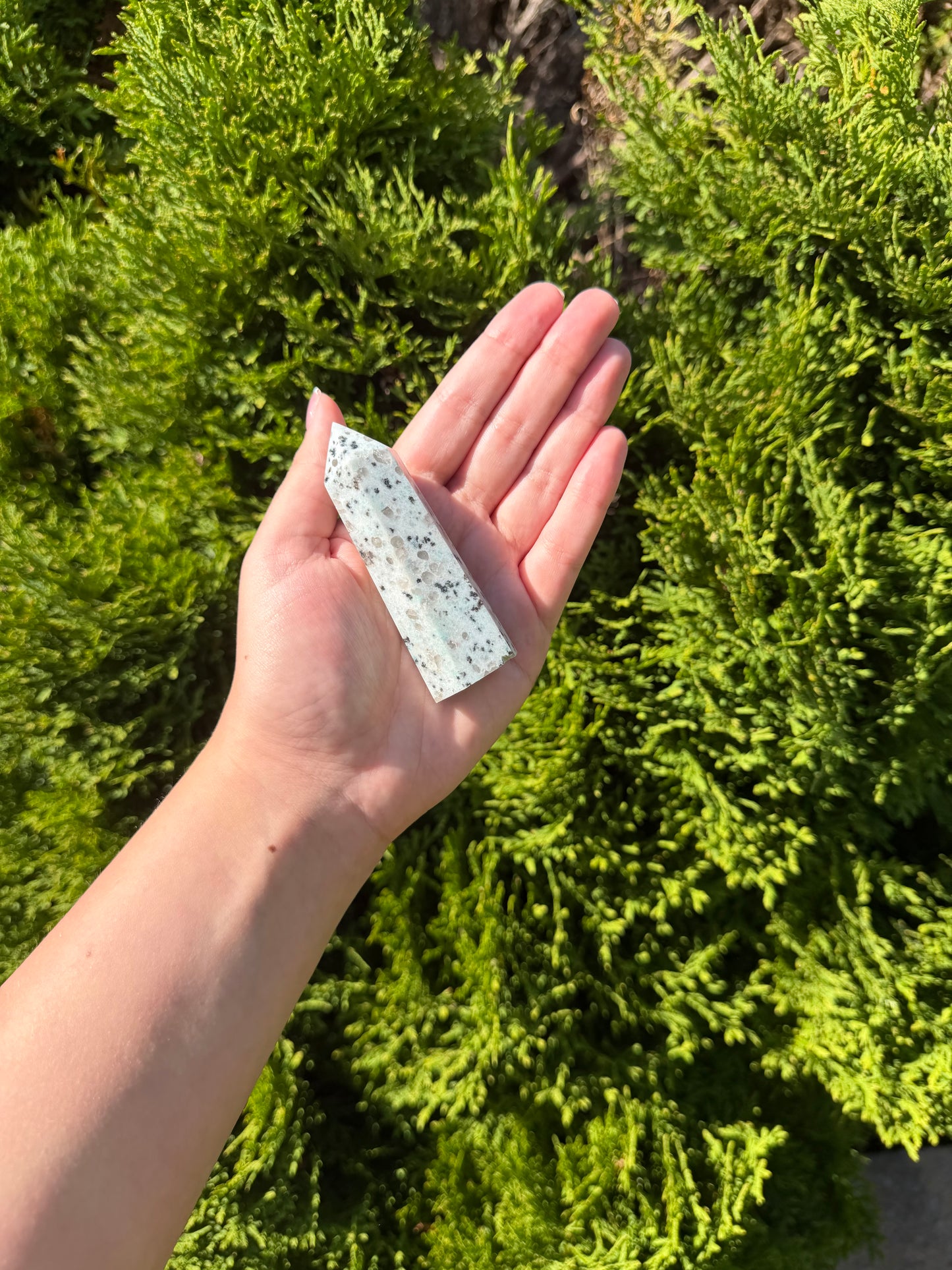 Kiwi Jasper Point