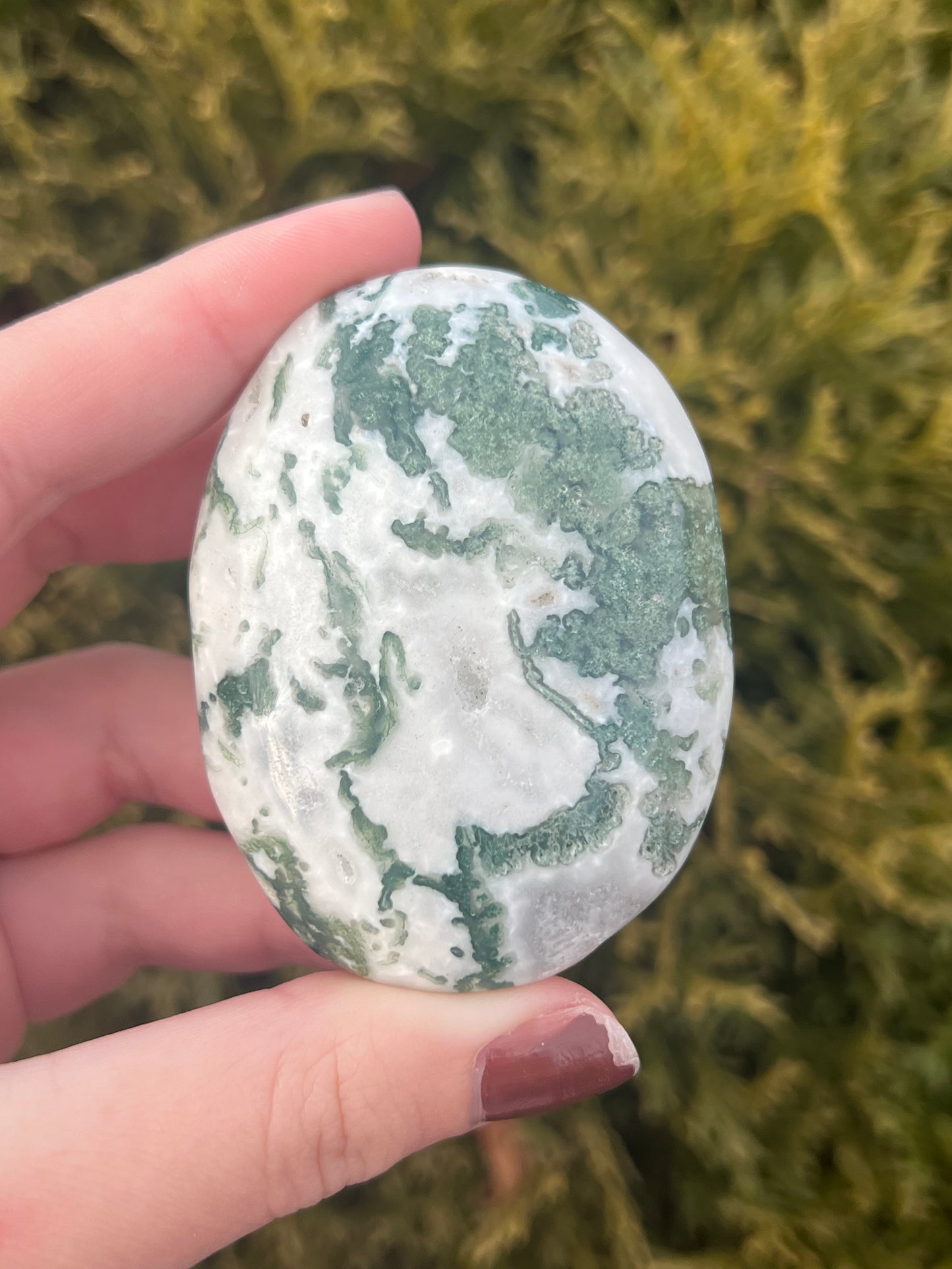 Druzy Moss Agate Palm Stone