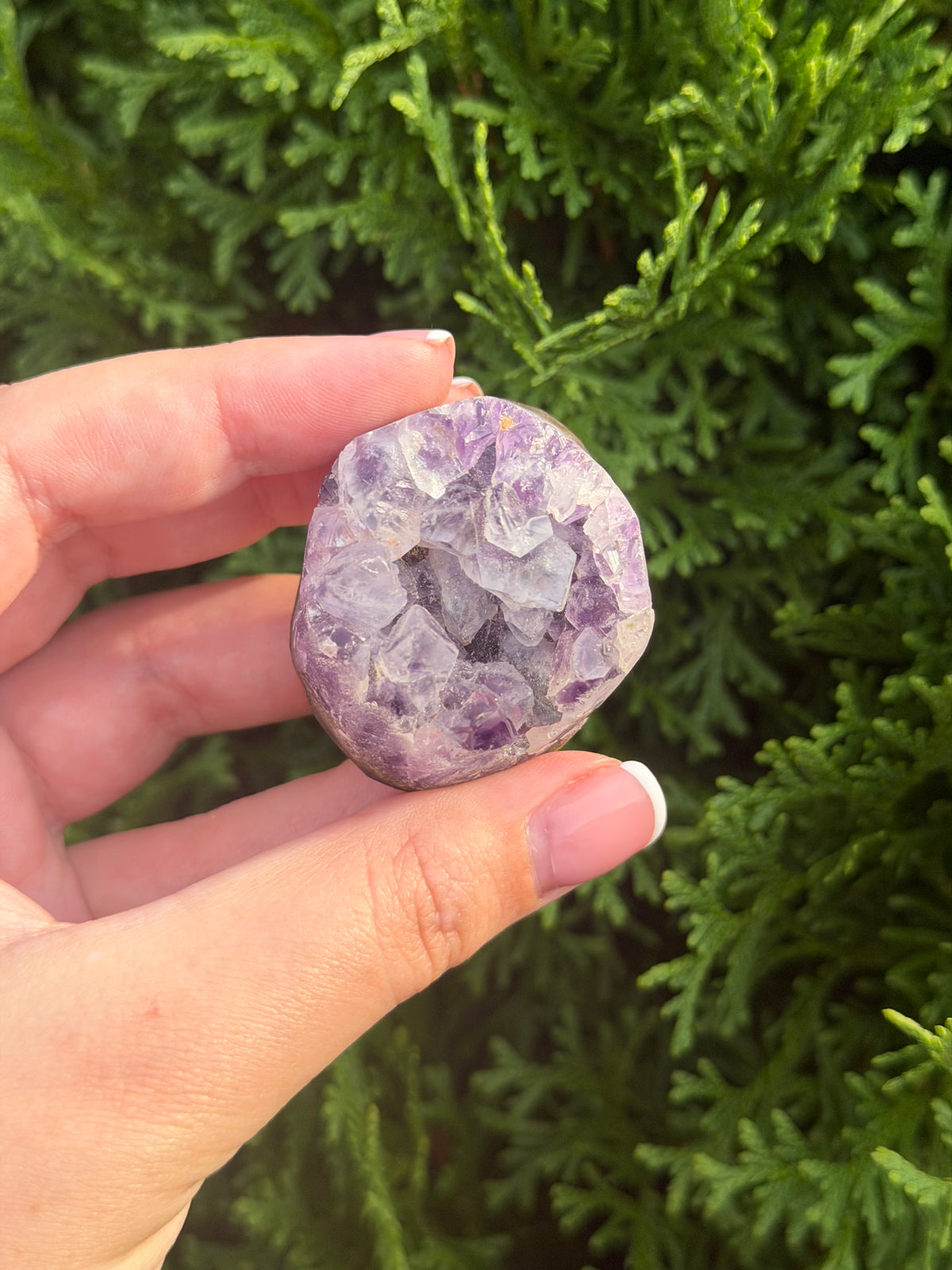 Mini Amethyst Cluster