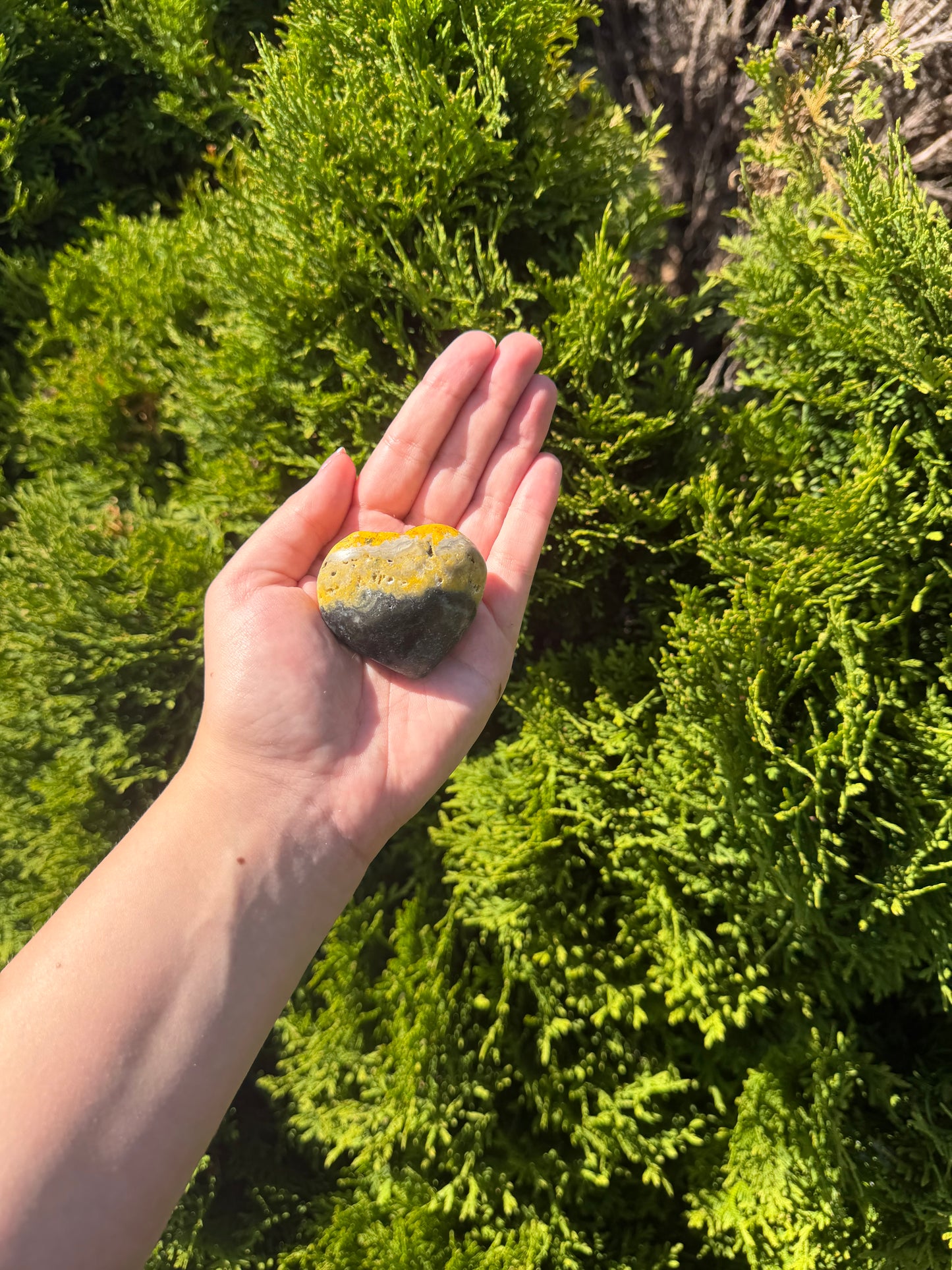 Bumblebee Jasper Heart