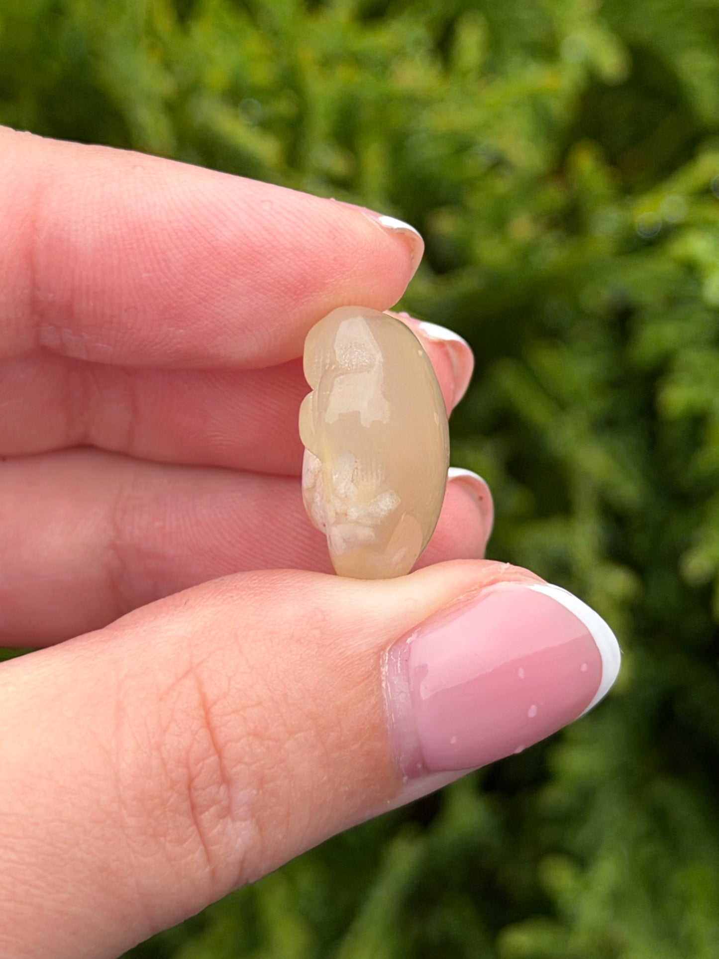 Flower Agate Cat Paw