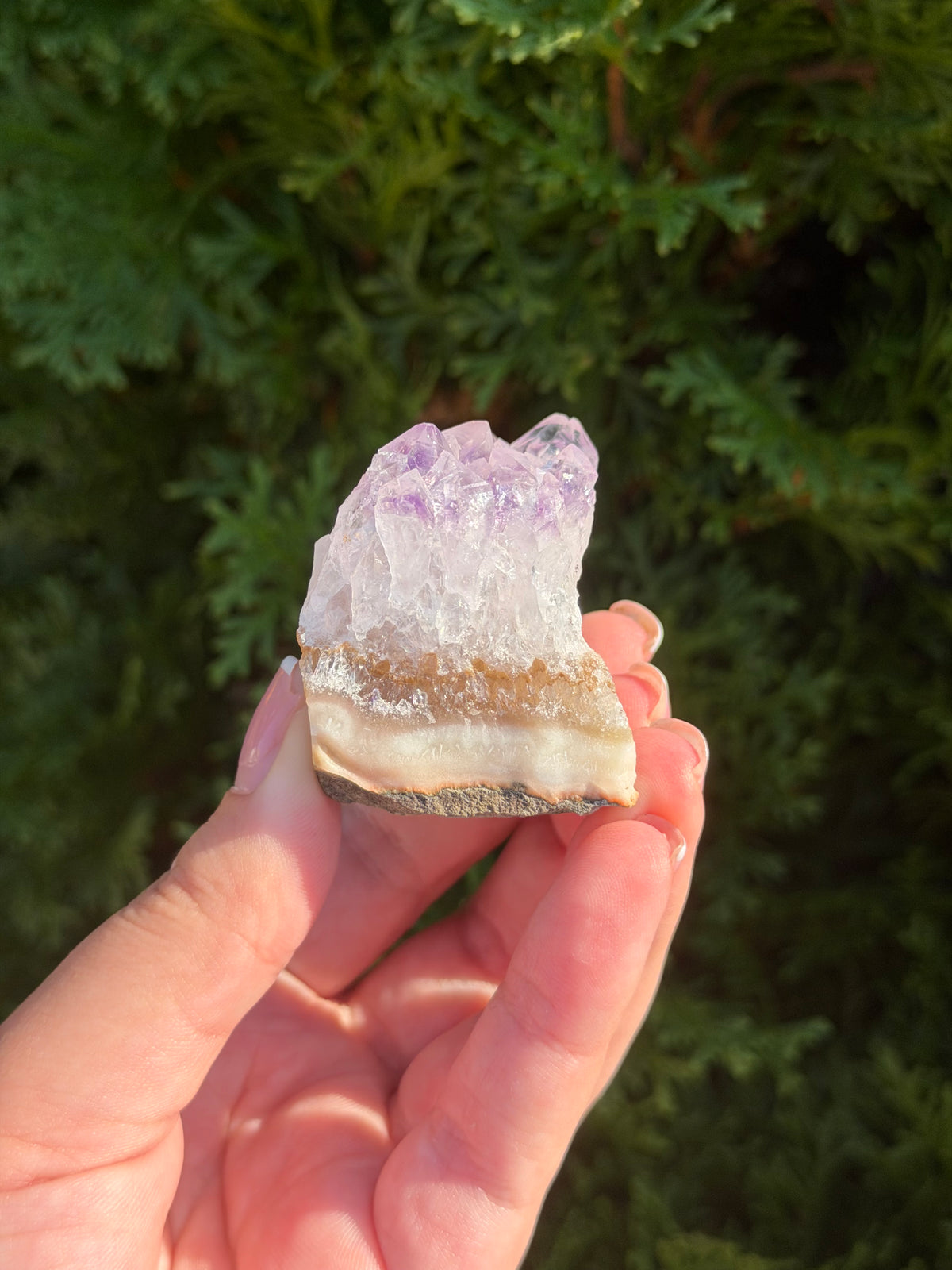 Raw Amethyst Cluster