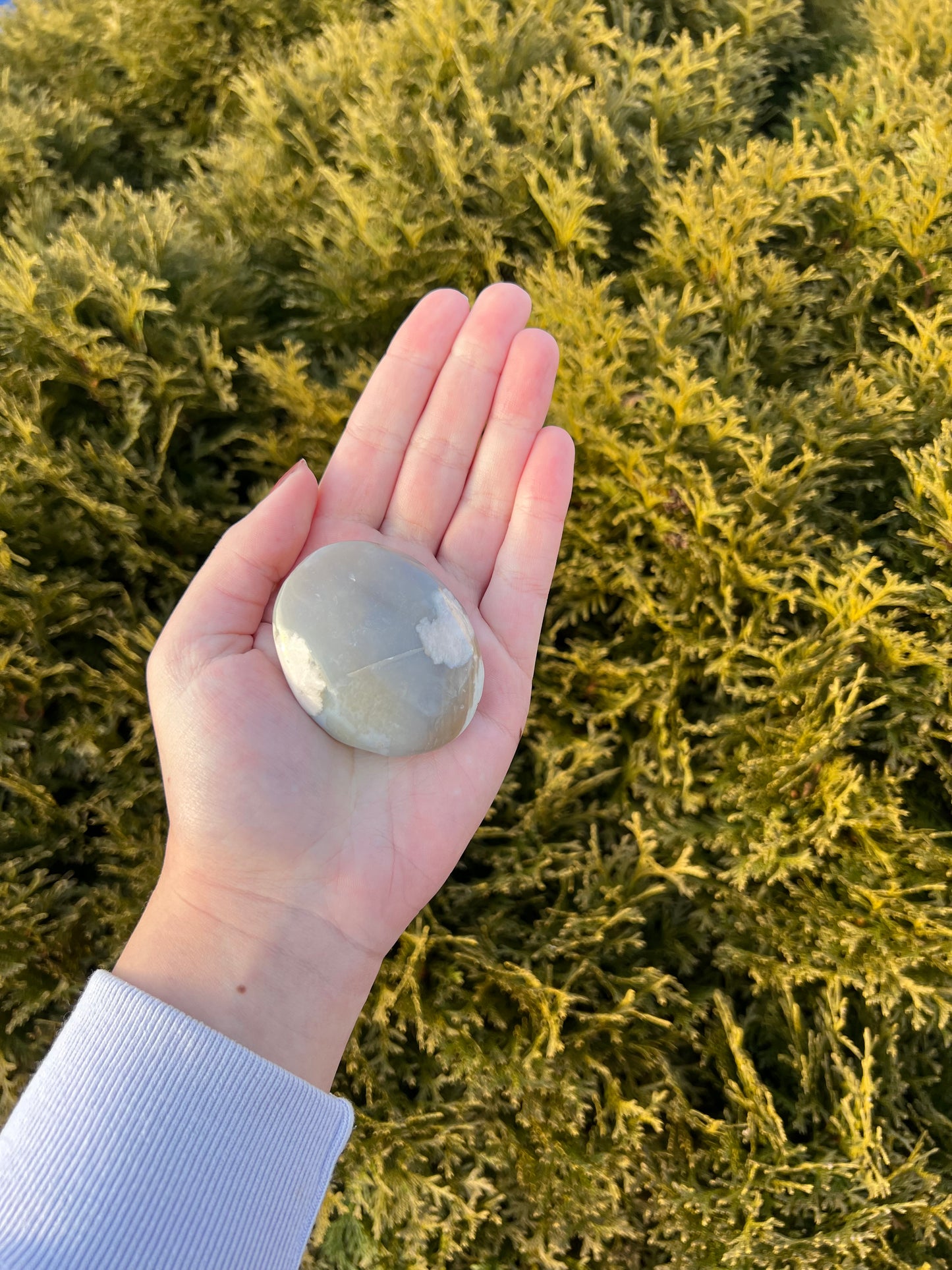 Flower Agate Palm Stone