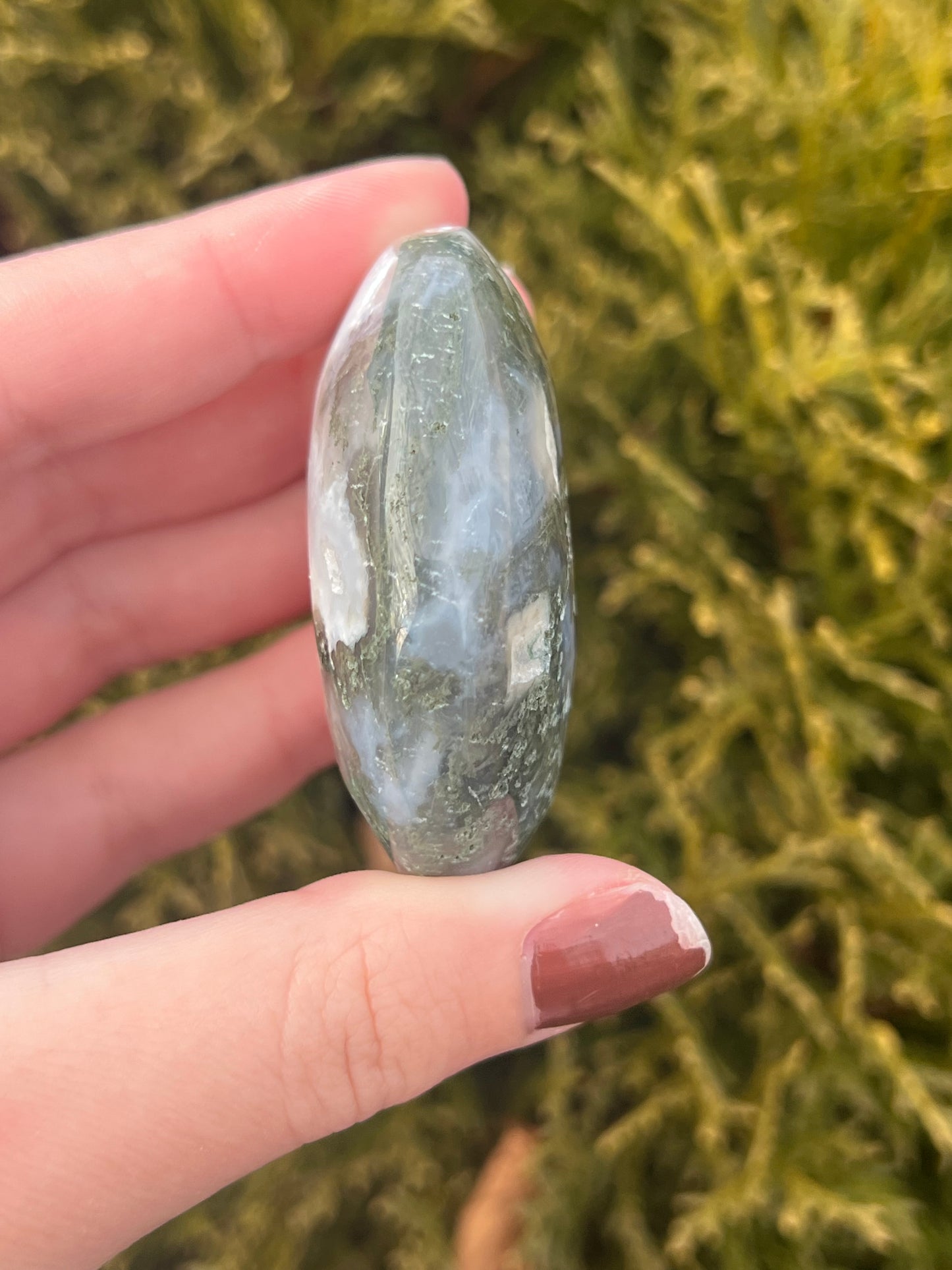 Moss Agate Palm Stone