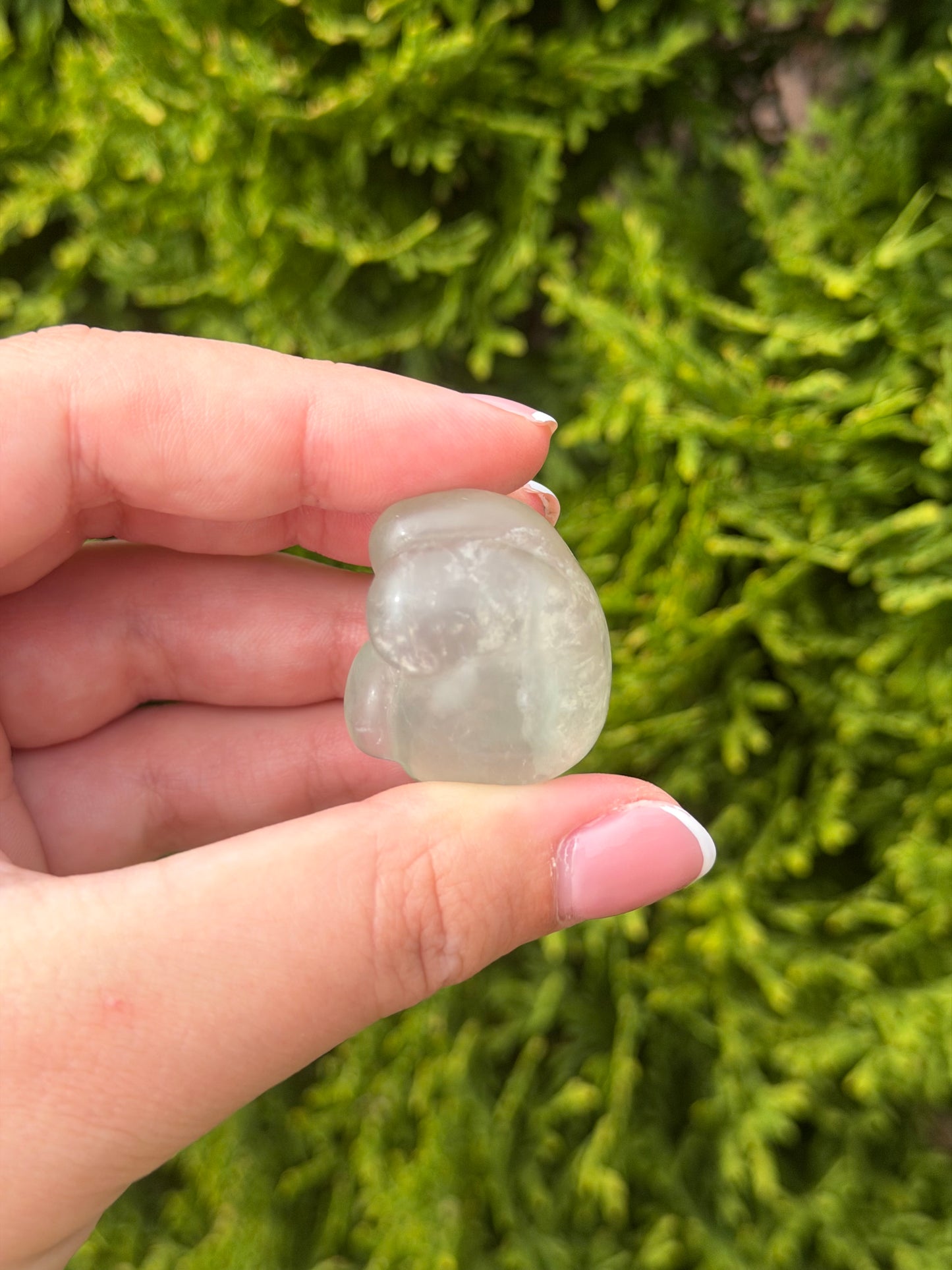 Green Fluorite Cat Paw 2