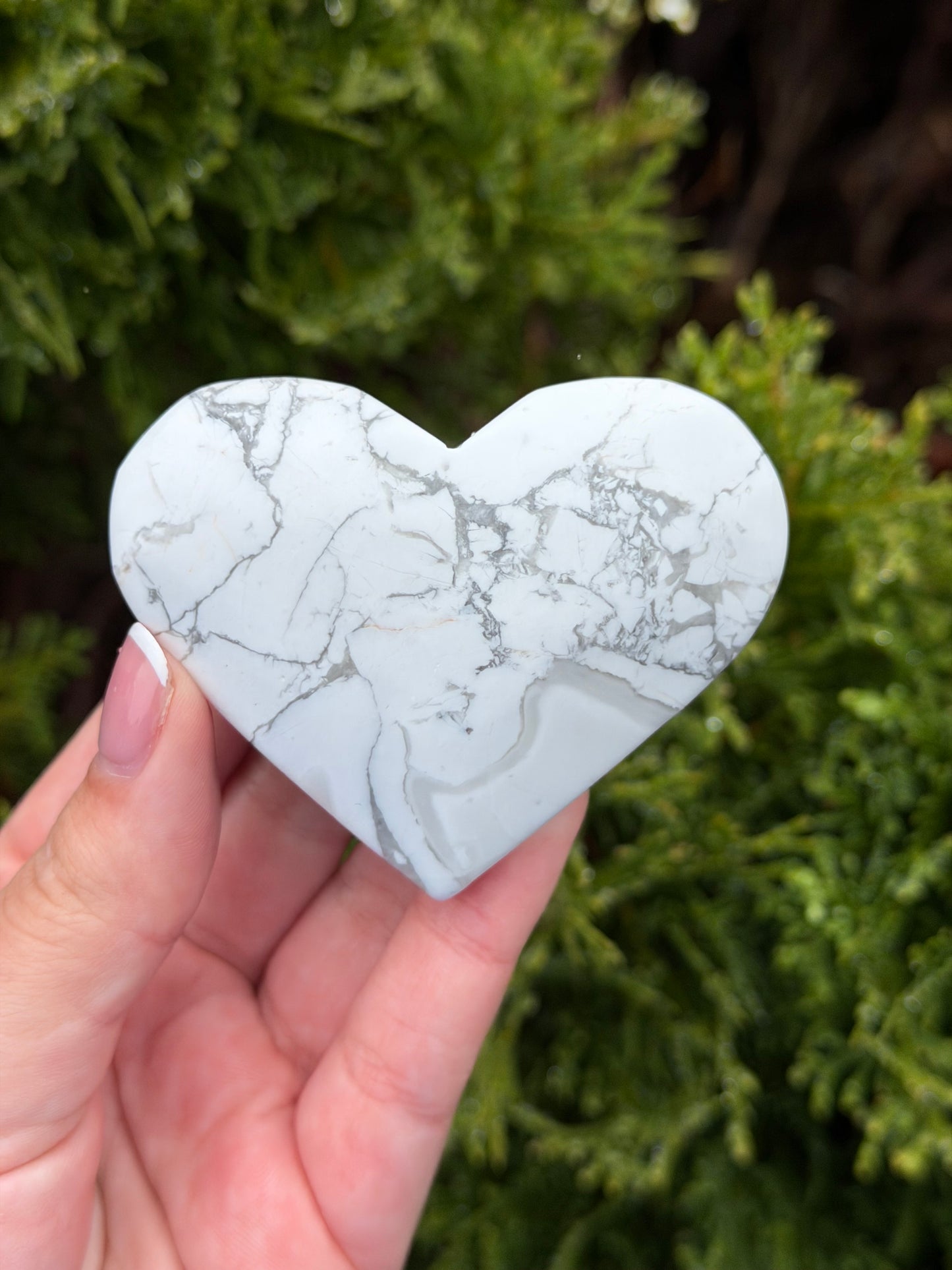 Howlite Heart 1