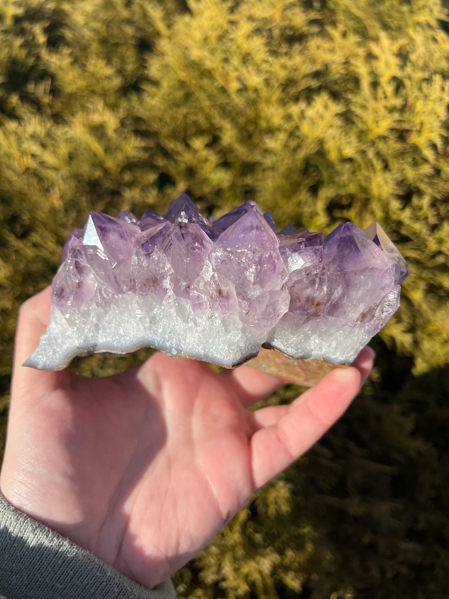 Large Amethyst Cluster