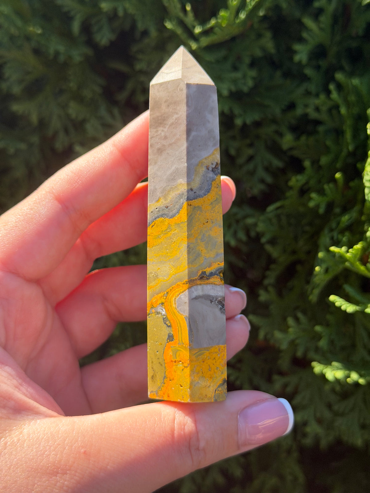 Bumblebee Jasper Point #1