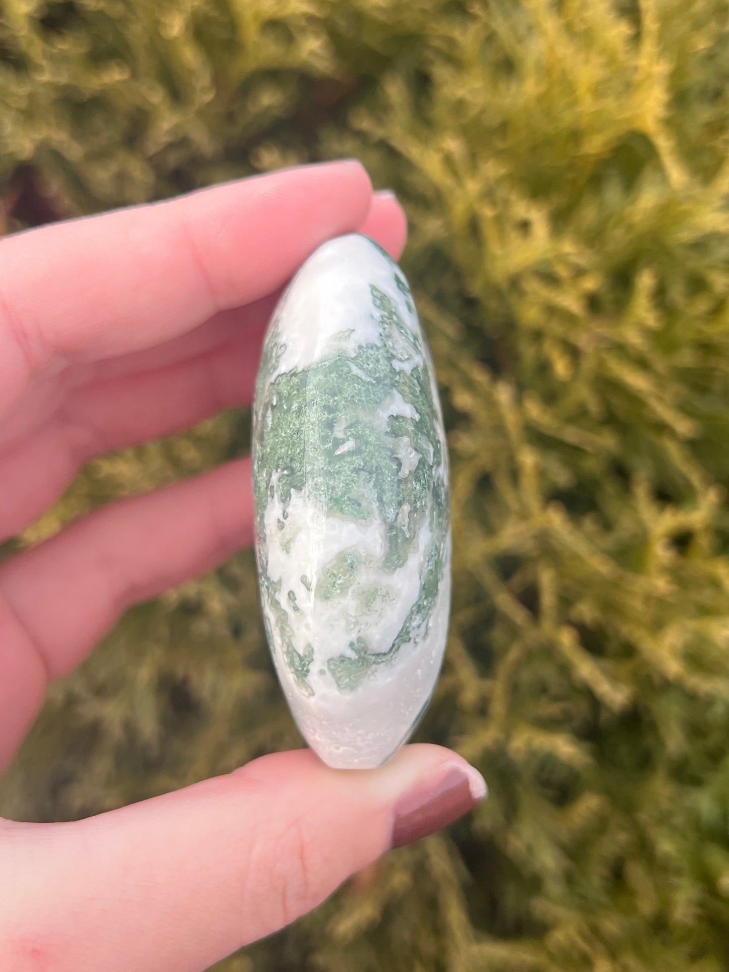 Druzy Moss Agate Palm Stone