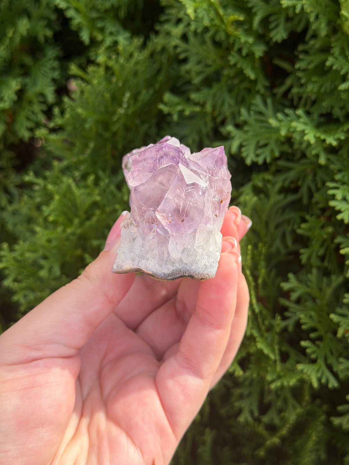 Amethyst Cluster