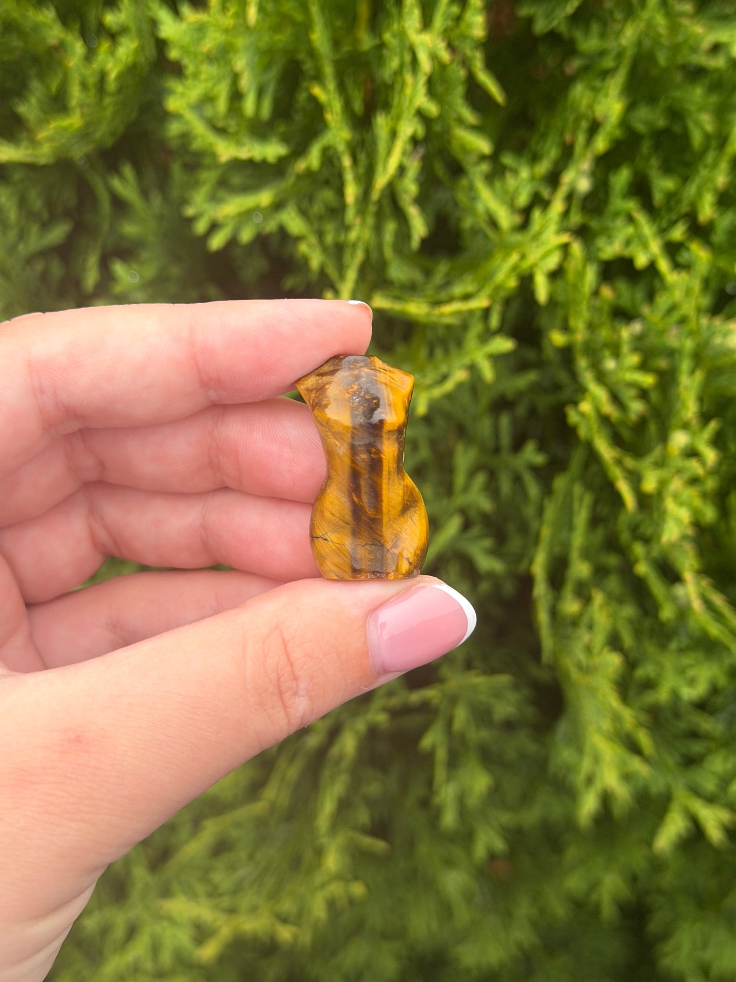 Tiger’s Eye Lady Body