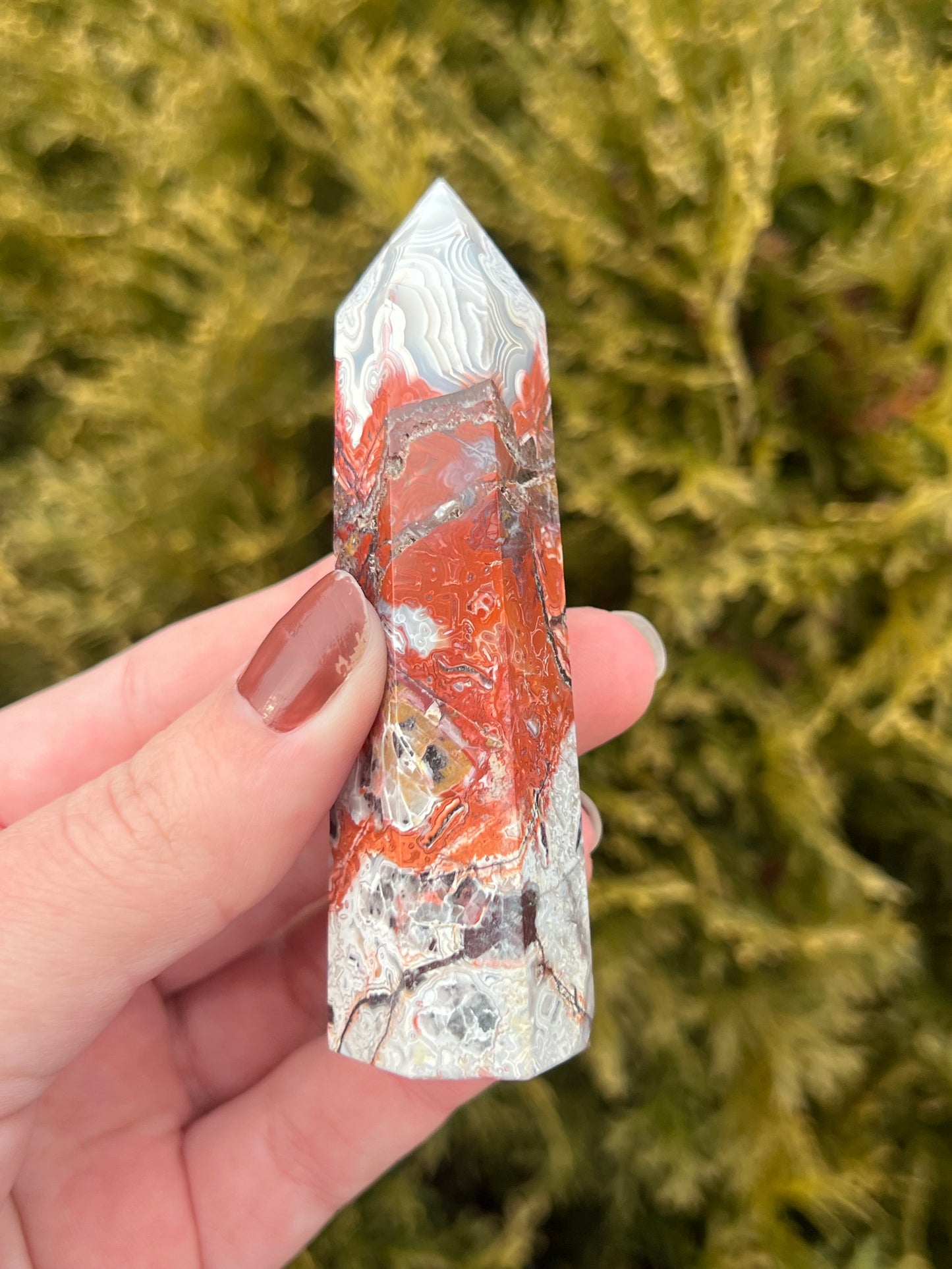Mexico Lace Agate Point
