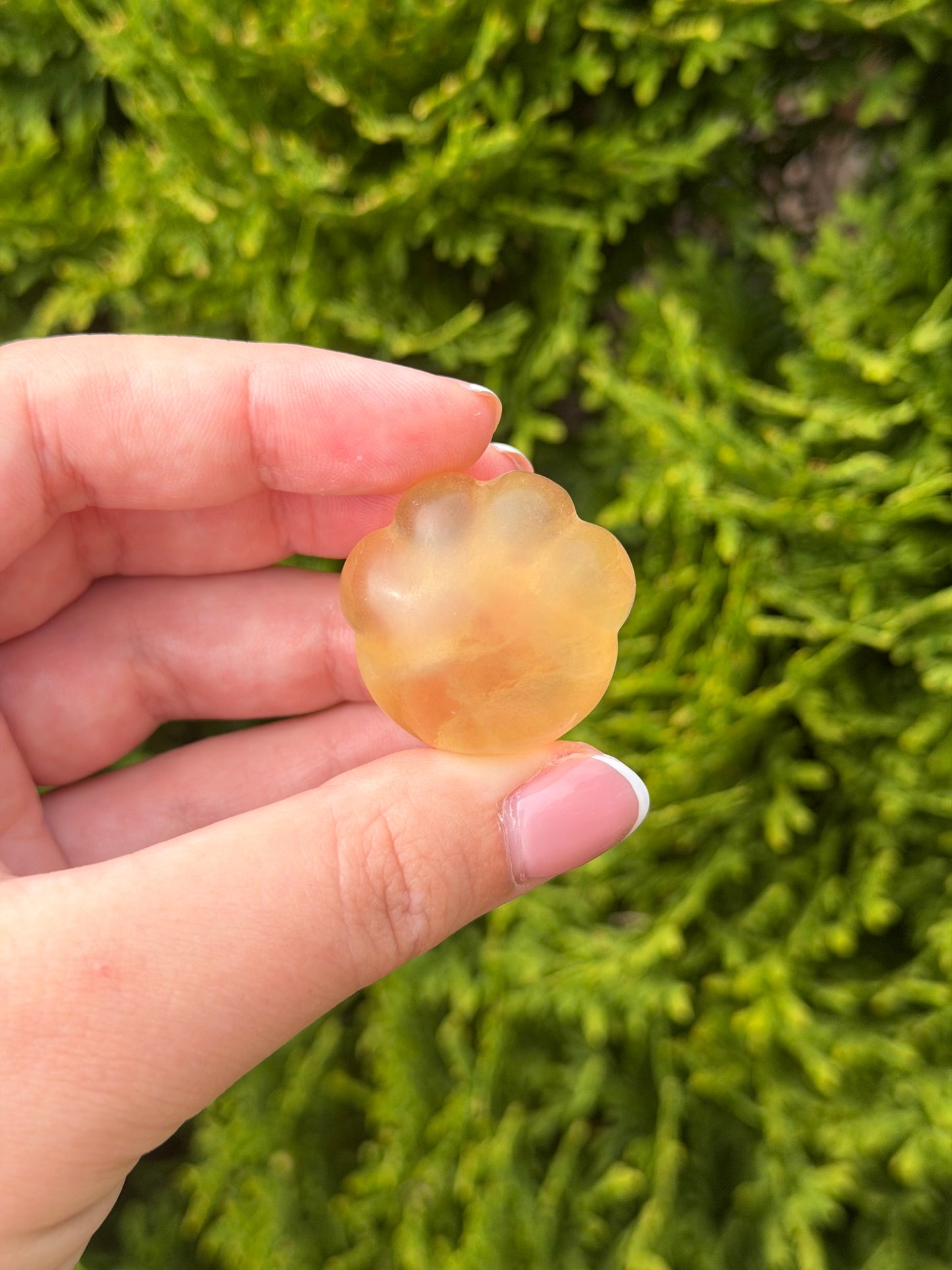 Yellow Fluorite Cat Paw 3