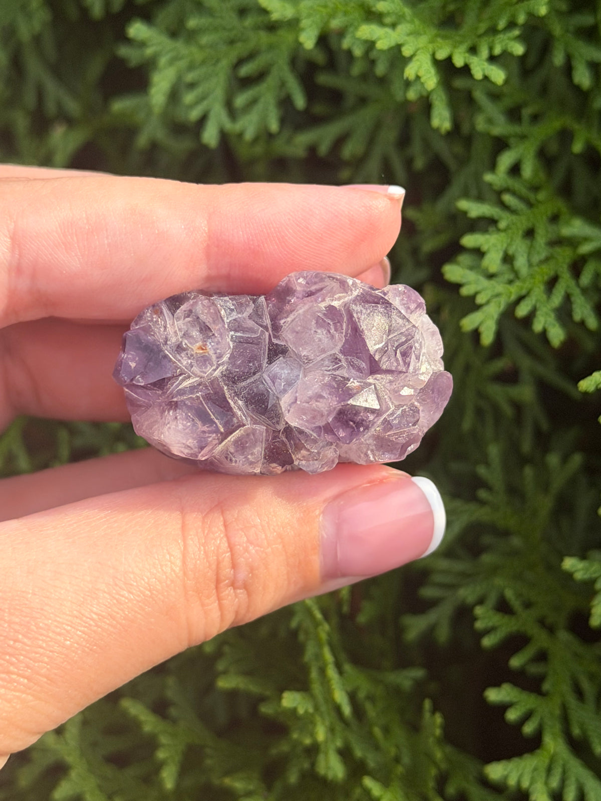 Mini Amethyst Cluster