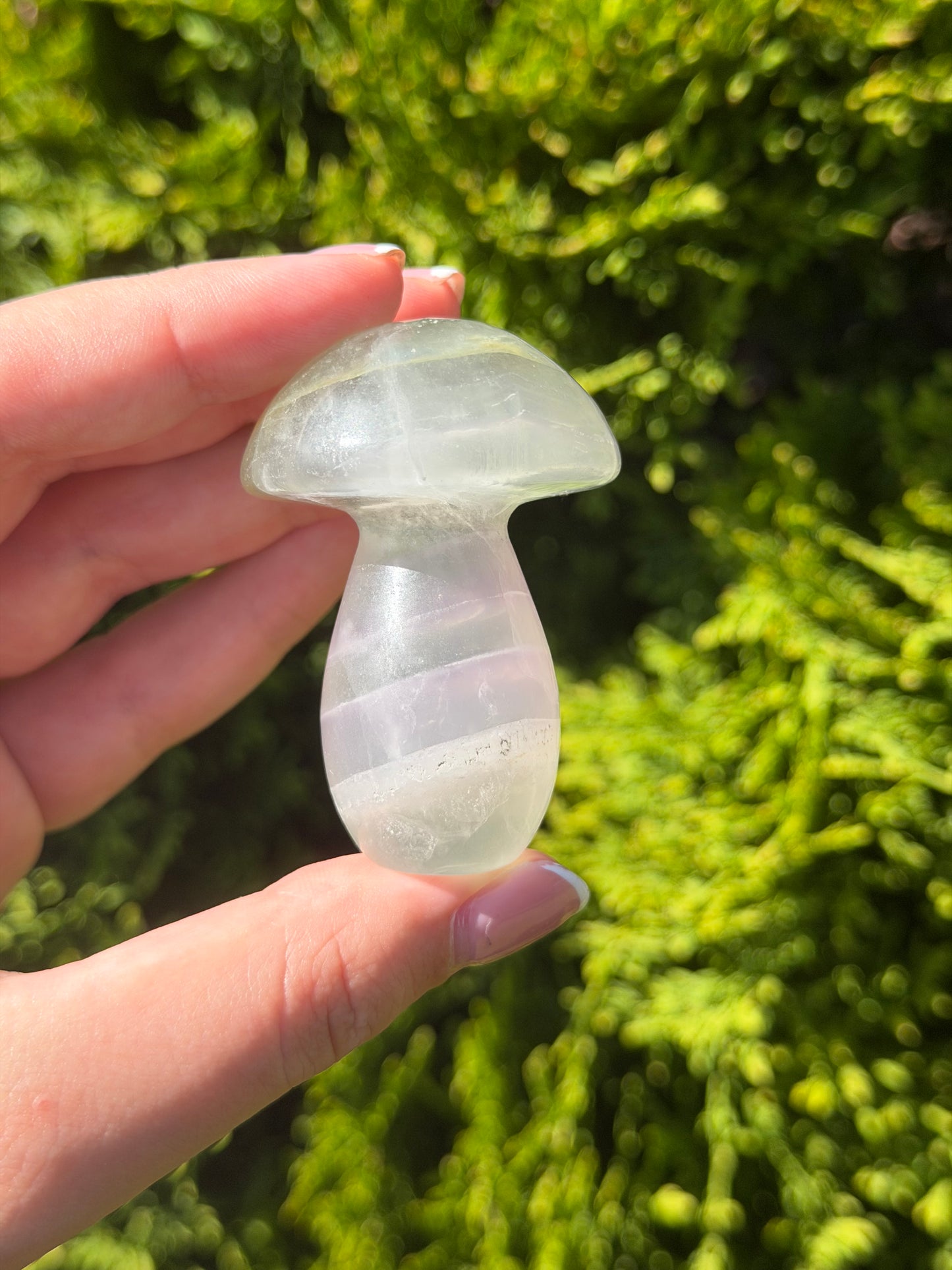 Fluorite Mushroom