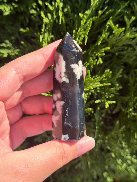 Black Flower Agate Point