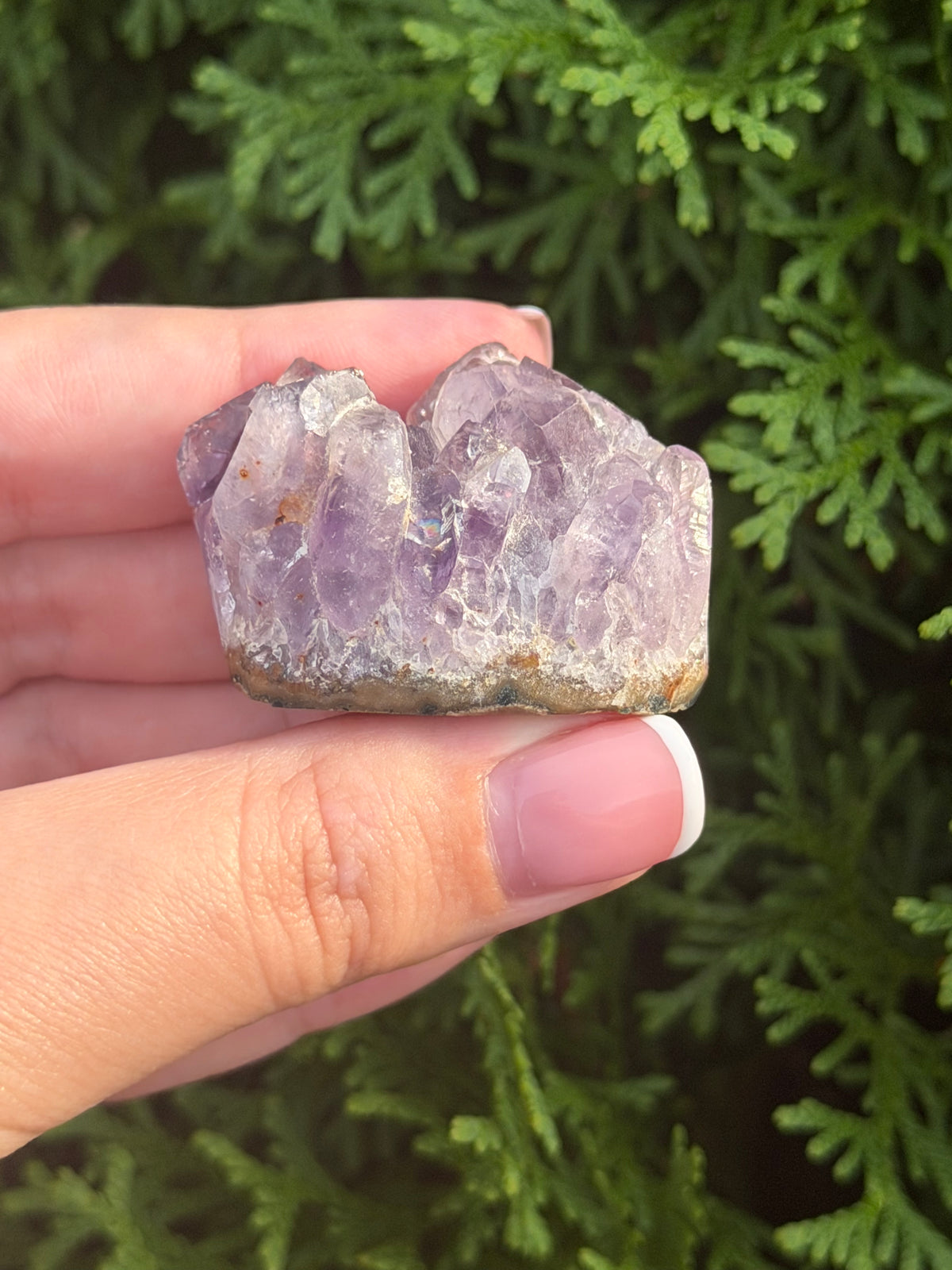 Mini Amethyst Cluster